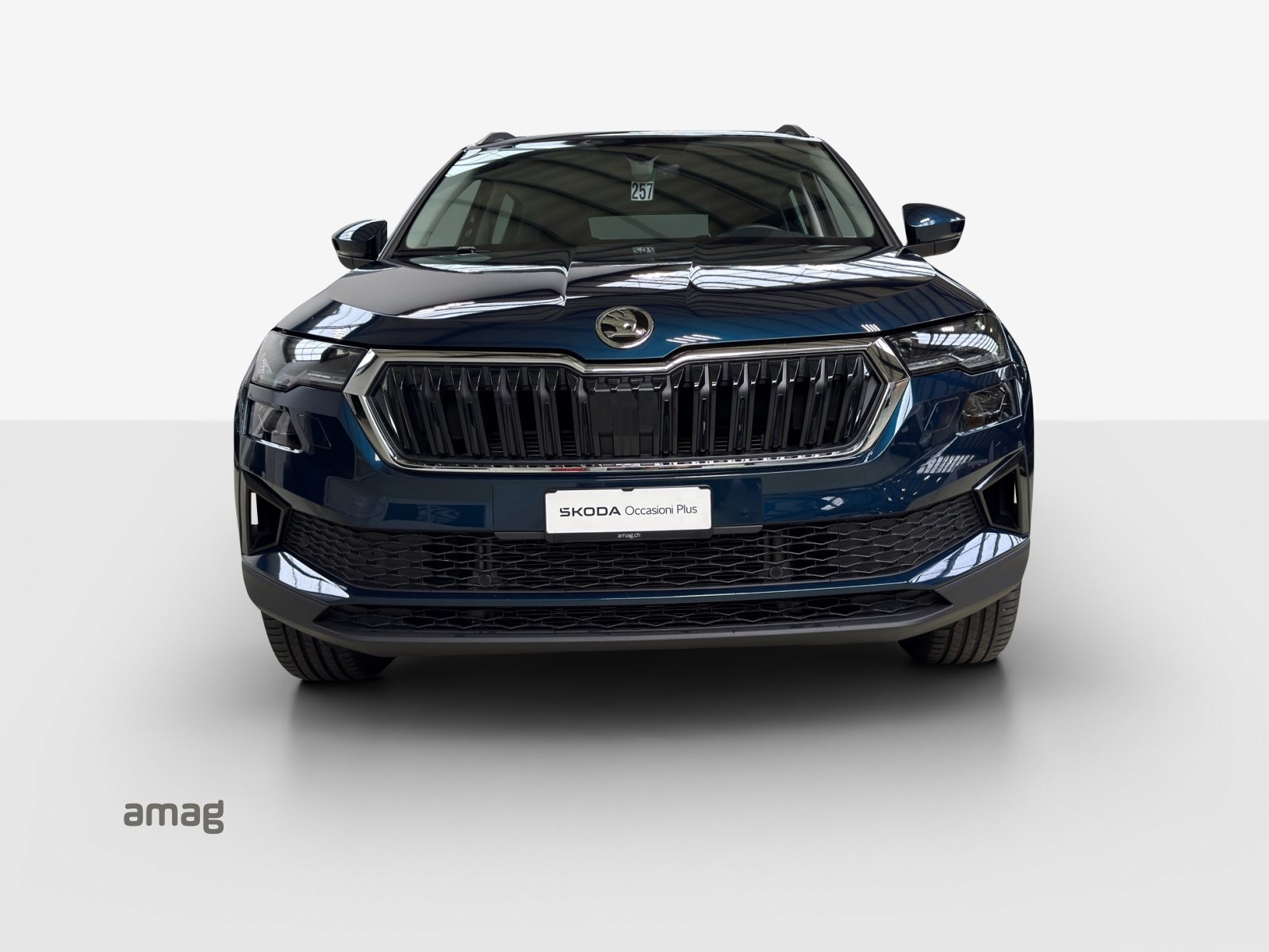 SKODA NEW KAROQ Style, Diesel, Occasioni / Usate, Automatico - 7