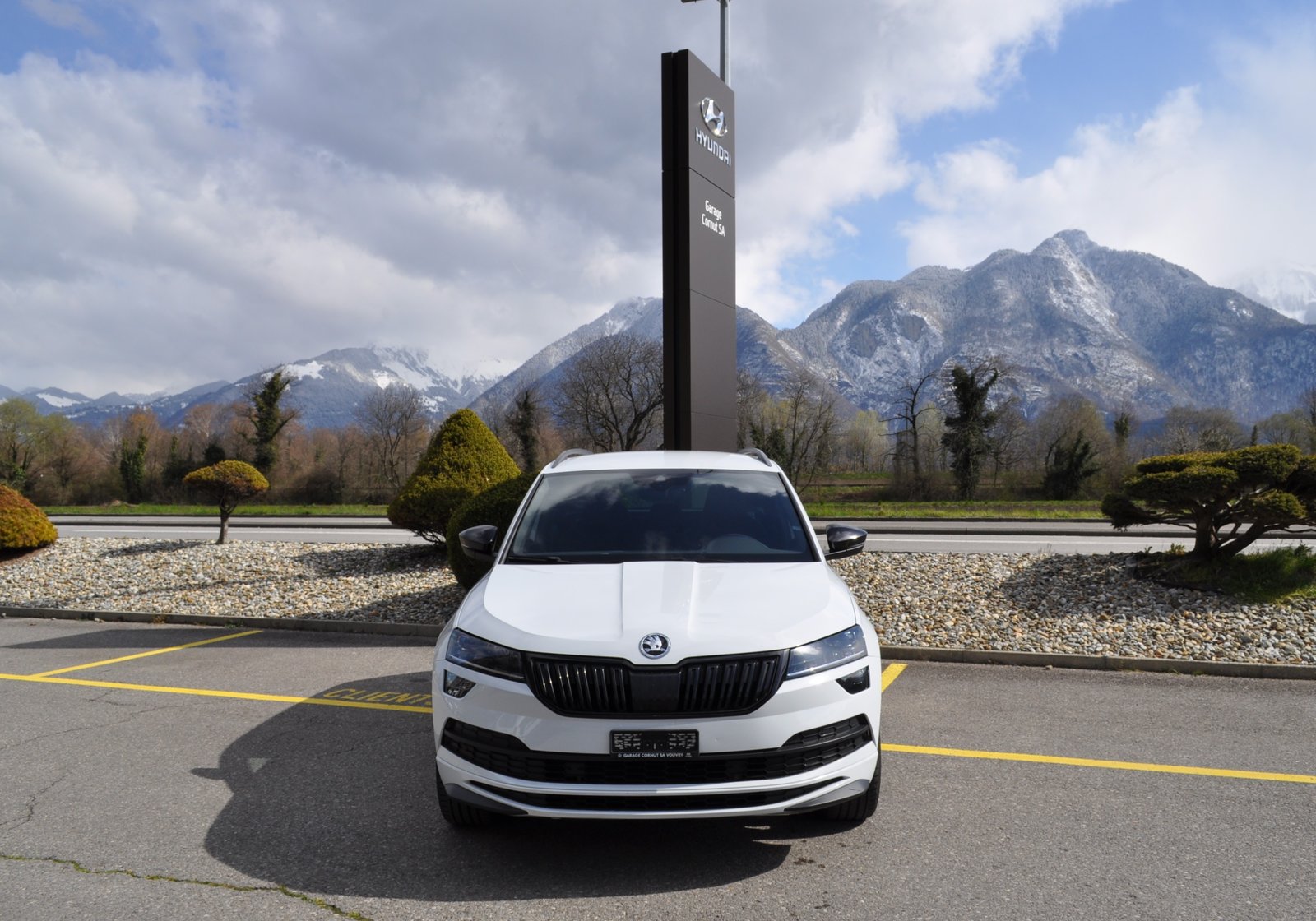 SKODA Karoq 2.0 TSI SportLine 4x4 DSG, Benzin, Occasion / Gebraucht, Automatik - 3