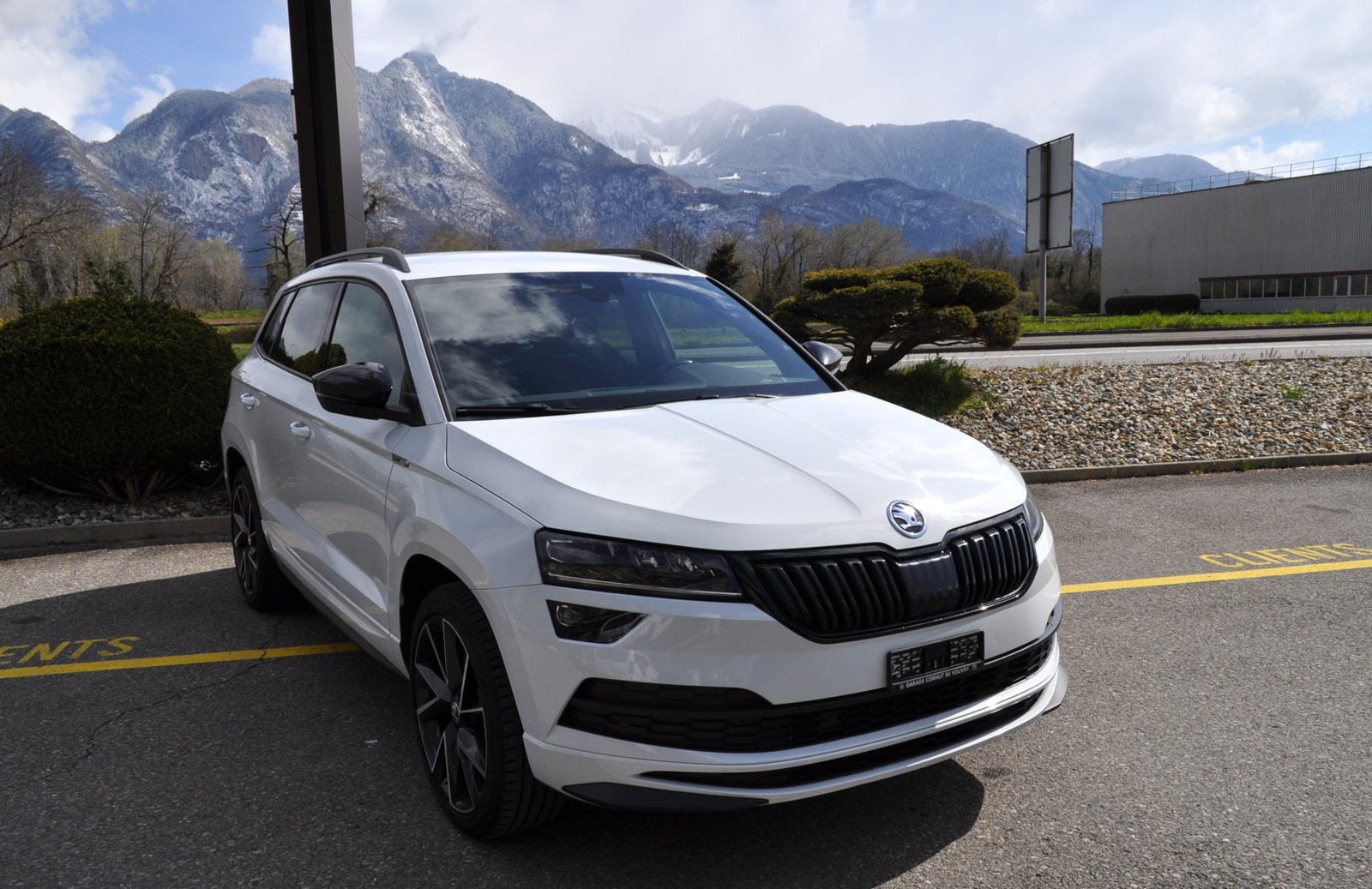 SKODA Karoq 2.0 TSI SportLine 4x4 DSG, Benzin, Occasion / Gebraucht, Automatik - 4