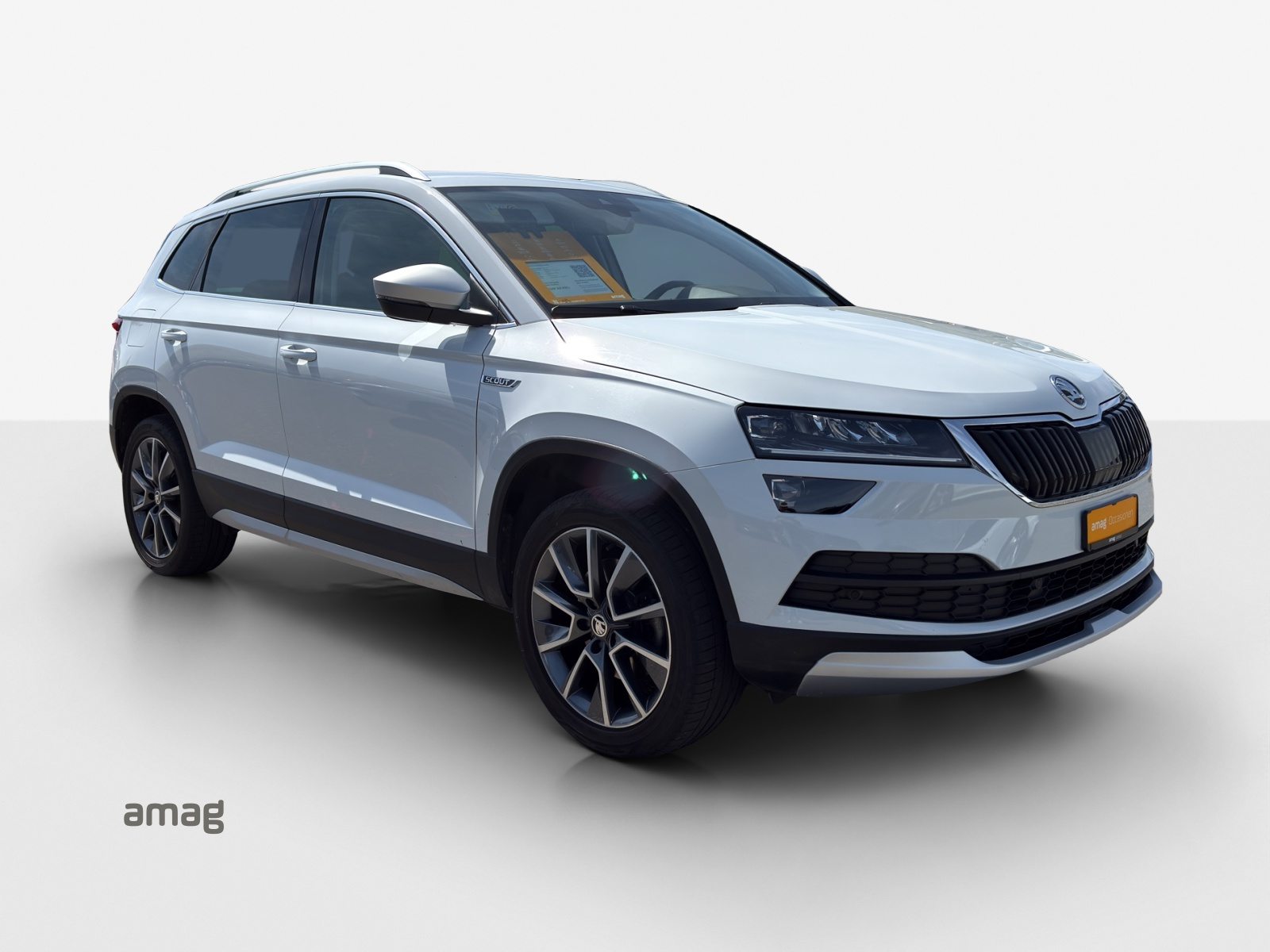 SKODA KAROQ Scout, Benzina, Occasioni / Usate, Automatico - 6