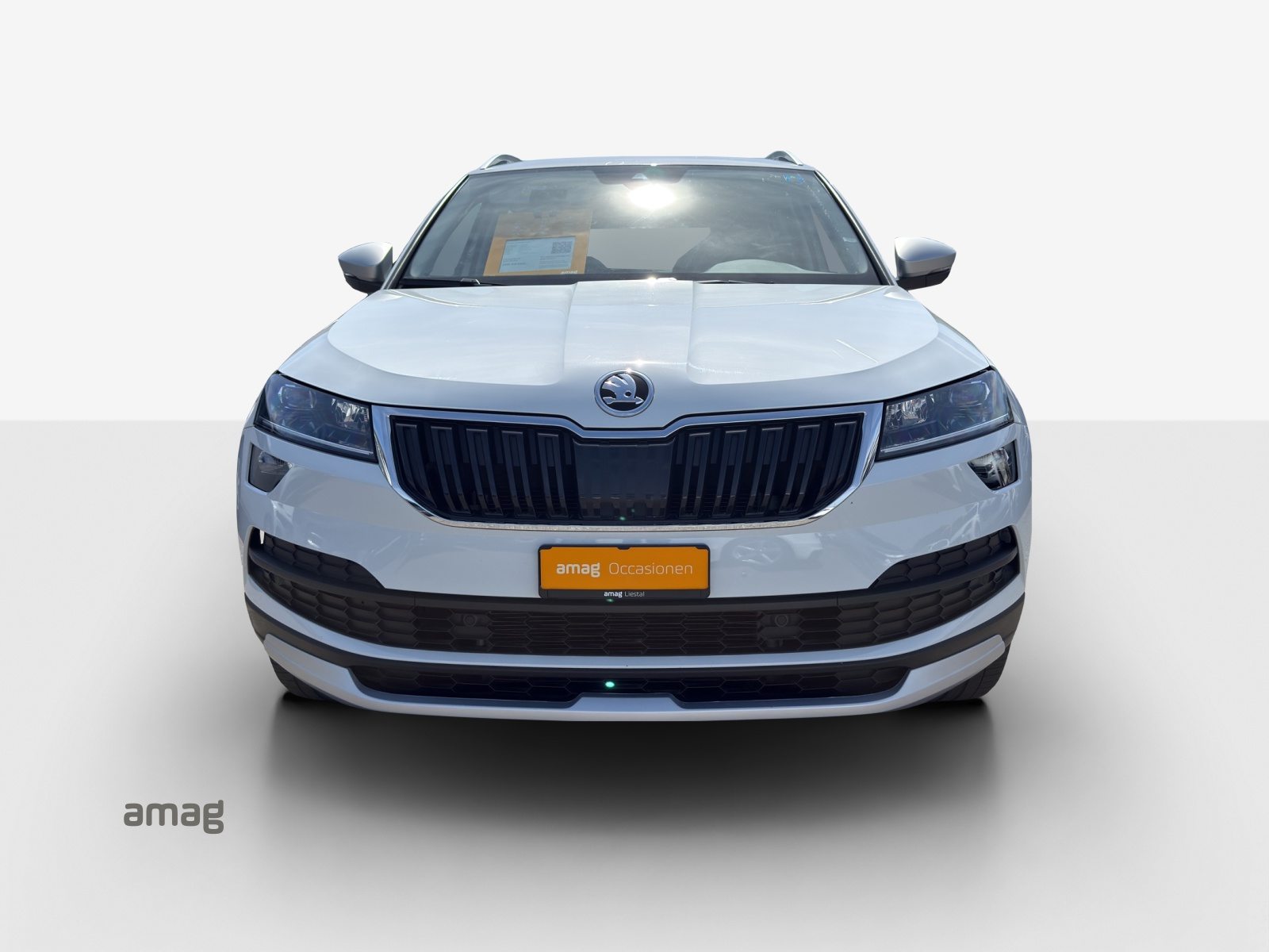 SKODA KAROQ Scout, Benzina, Occasioni / Usate, Automatico - 7