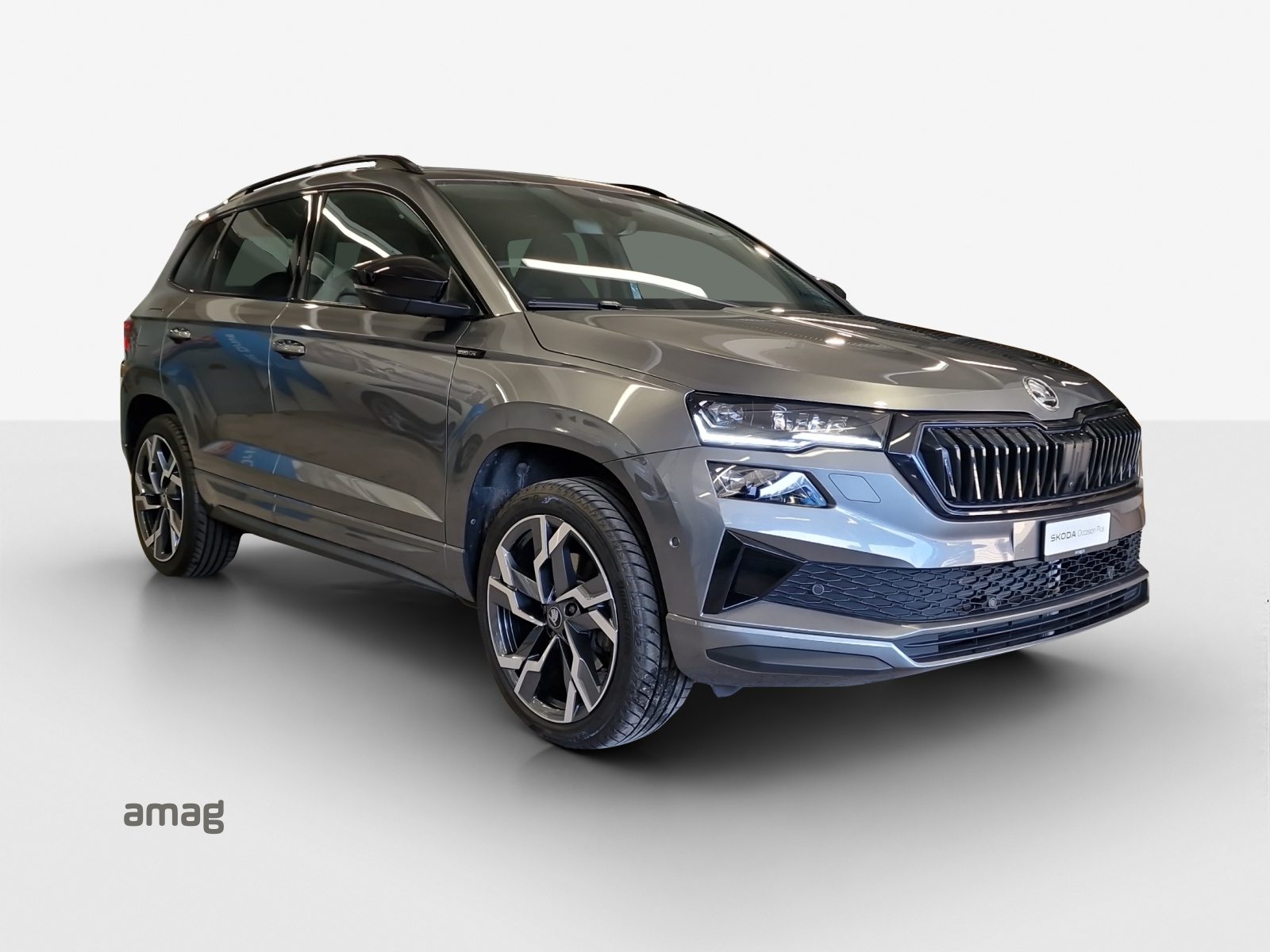SKODA Karoq Sportline, Essence, Occasion / Utilisé, Automatique - 6