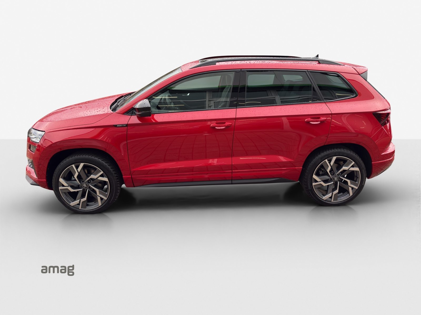 SKODA Karoq Sportline, Benzina, Occasioni / Usate, Automatico - 2