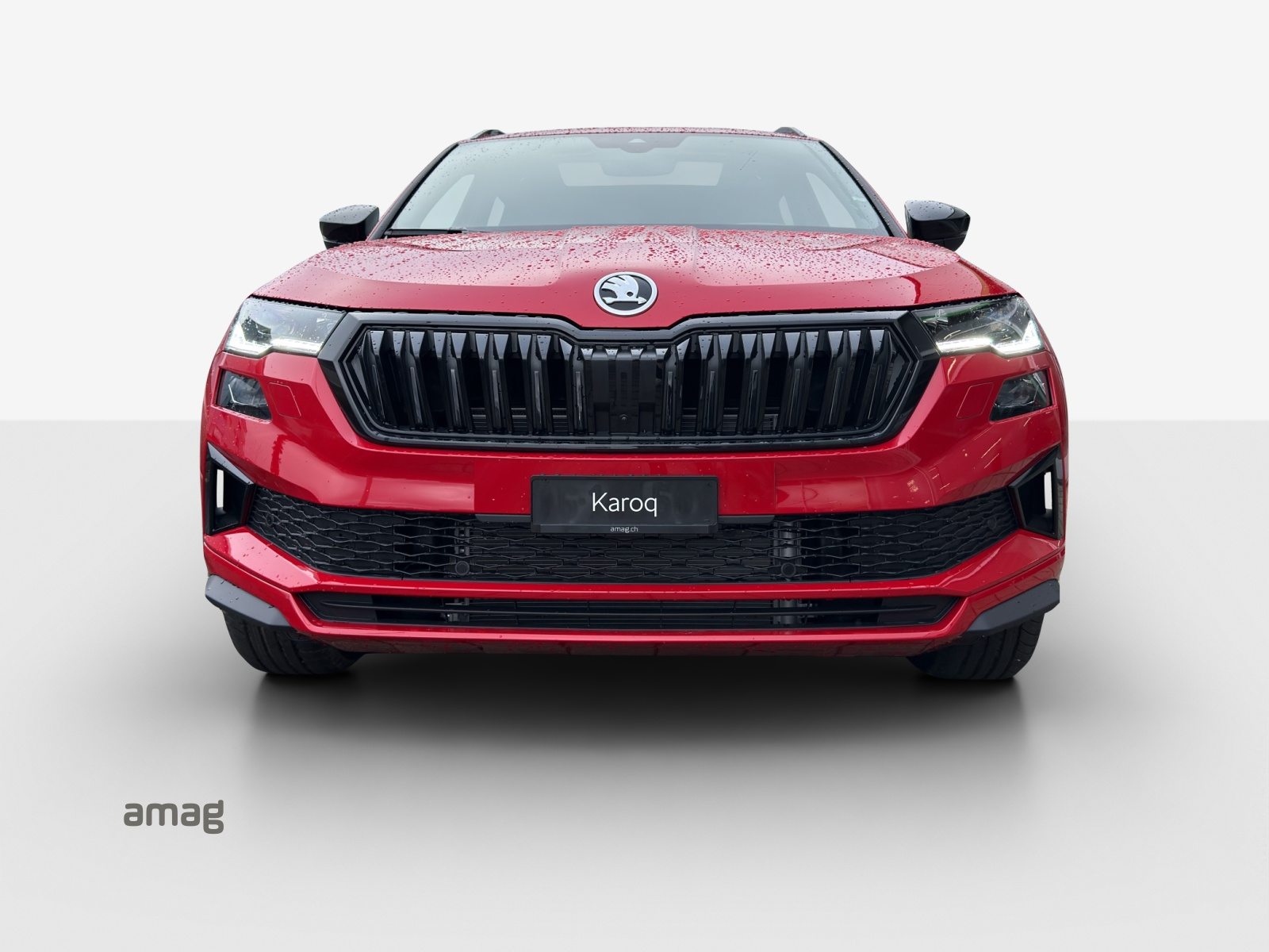 SKODA Karoq Sportline, Benzina, Occasioni / Usate, Automatico - 7