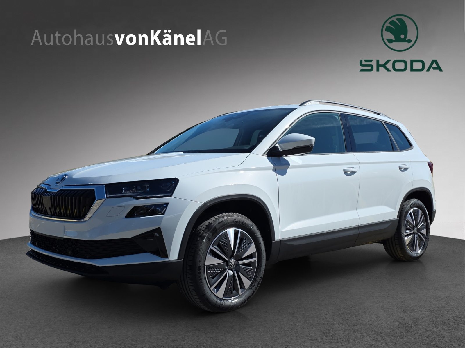SKODA Karoq Dynamic (Netto)
