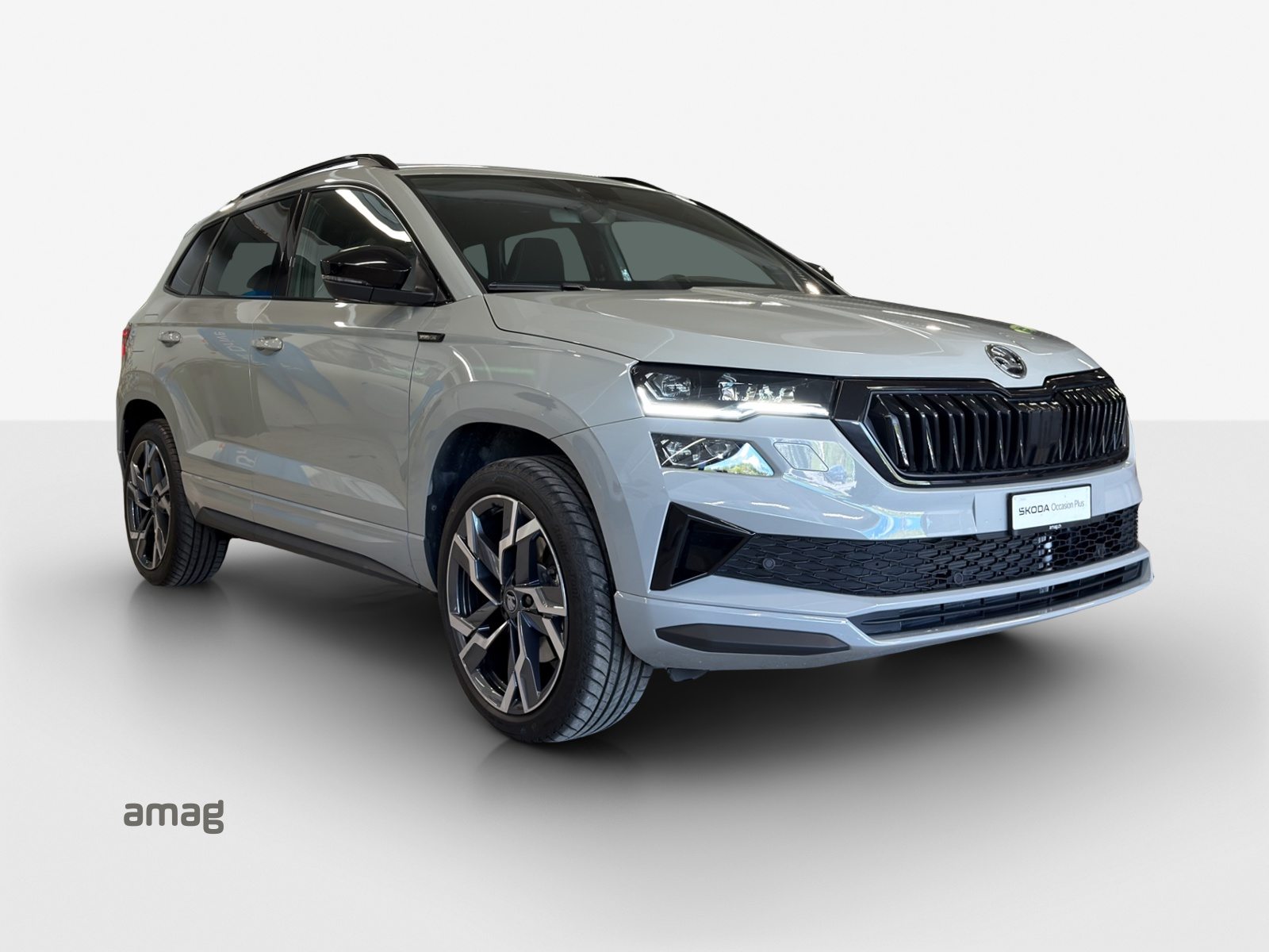SKODA Karoq Sportline, Essence, Occasion / Utilisé, Automatique - 6