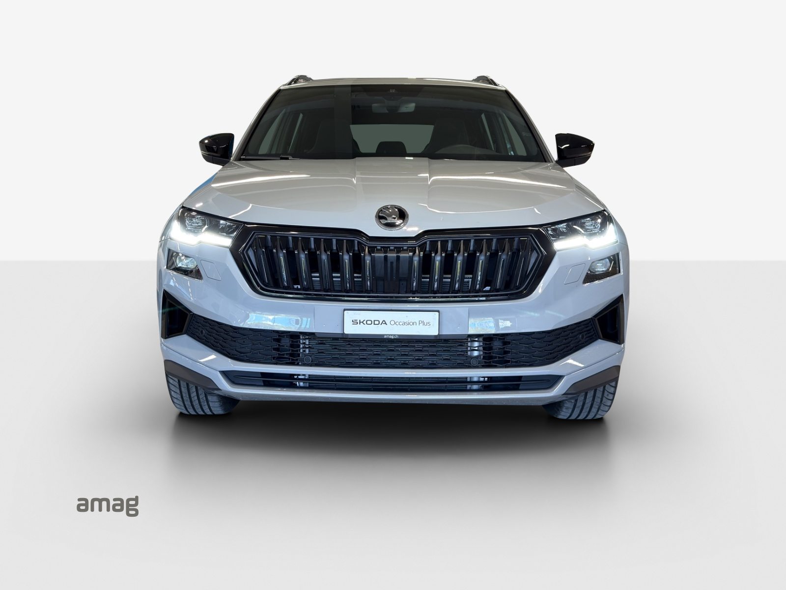 SKODA Karoq Sportline, Essence, Occasion / Utilisé, Automatique - 7