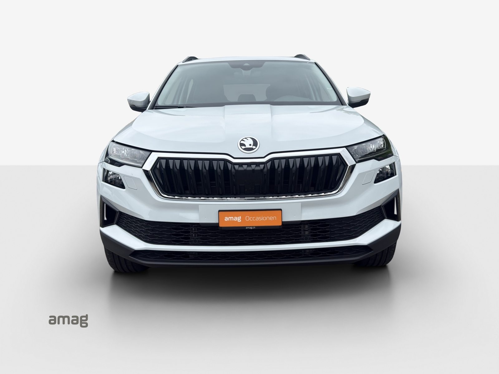 SKODA Karoq Selection, Diesel, Occasioni / Usate, Automatico - 7