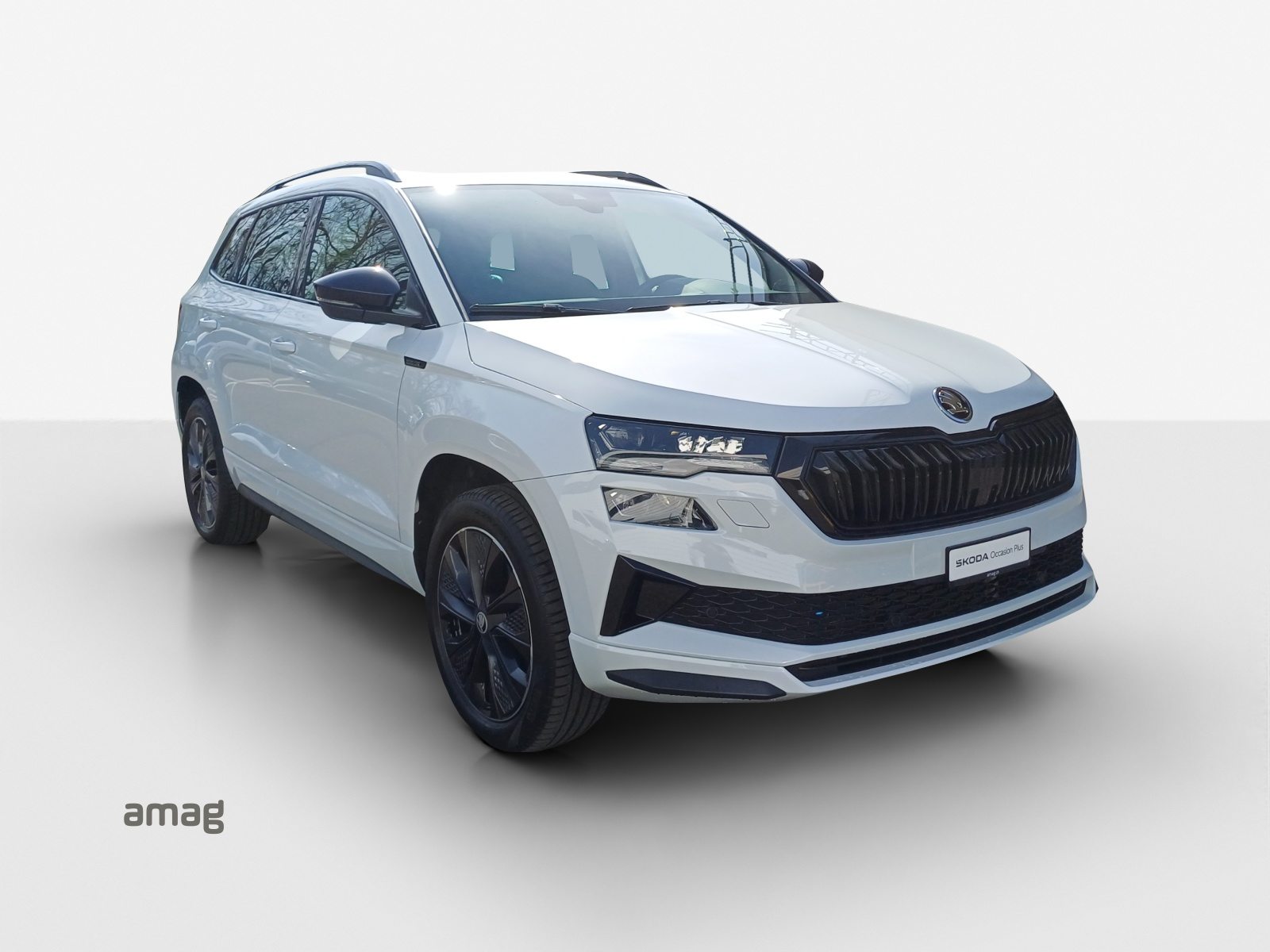 SKODA Karoq Sportline, Petrol, Second hand / Used, Automatic - 6
