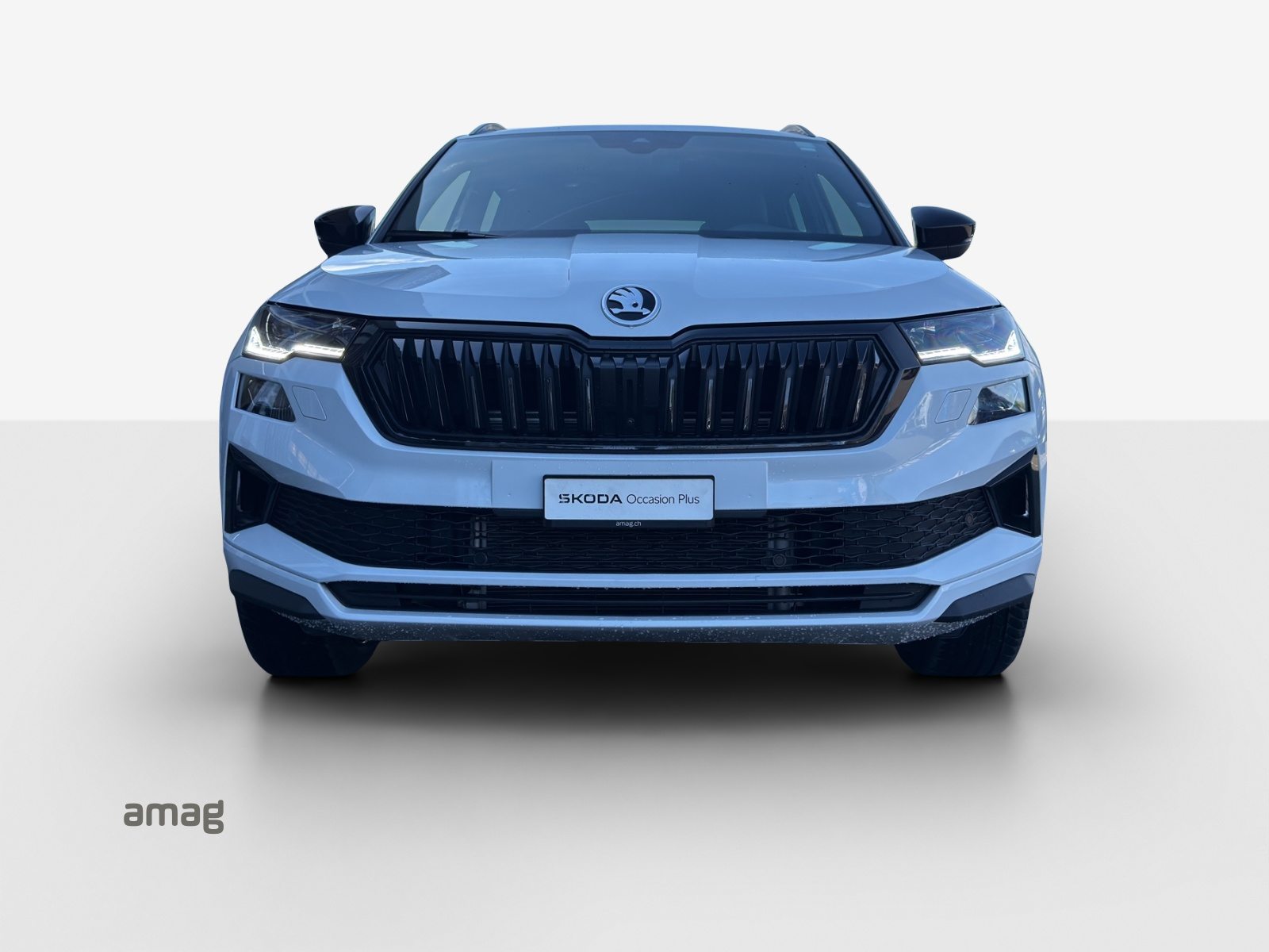 SKODA Karoq Sportline, Benzina, Occasioni / Usate, Automatico - 7