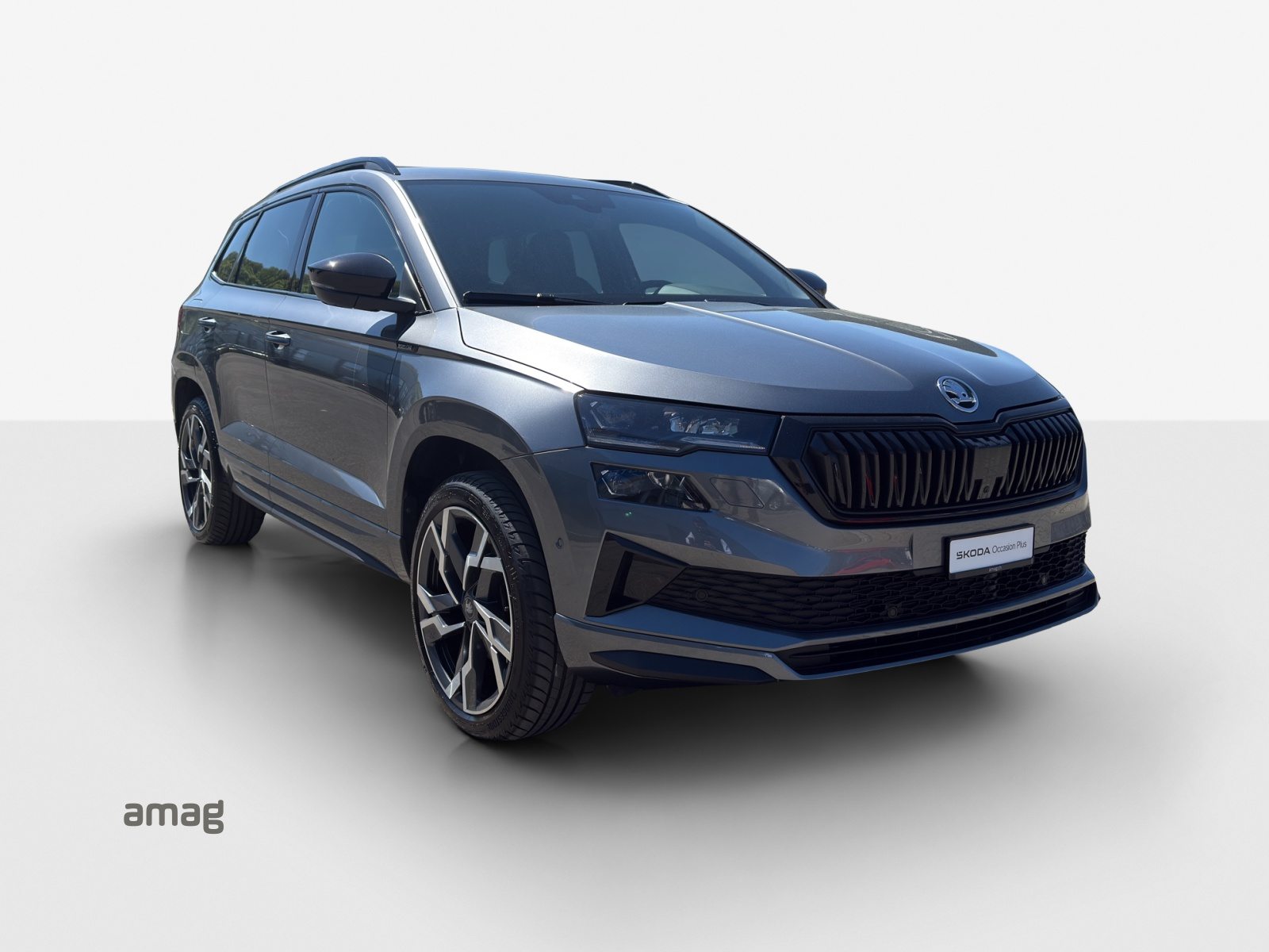 SKODA Karoq Sportline, Benzin, Occasion / Gebraucht, Automatik - 6