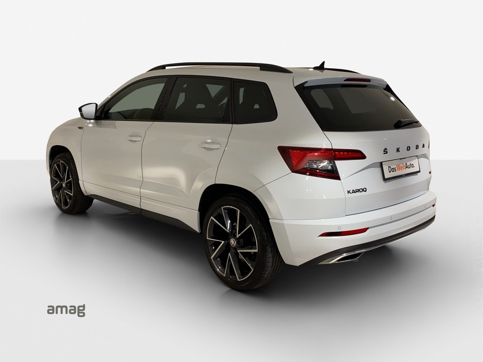 SKODA KAROQ SportLine, Benzina, Occasioni / Usate, Automatico - 3