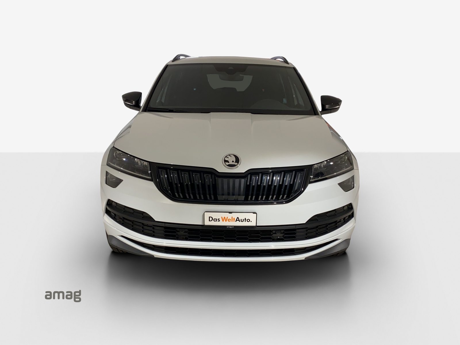 SKODA KAROQ SportLine, Benzina, Occasioni / Usate, Automatico - 6