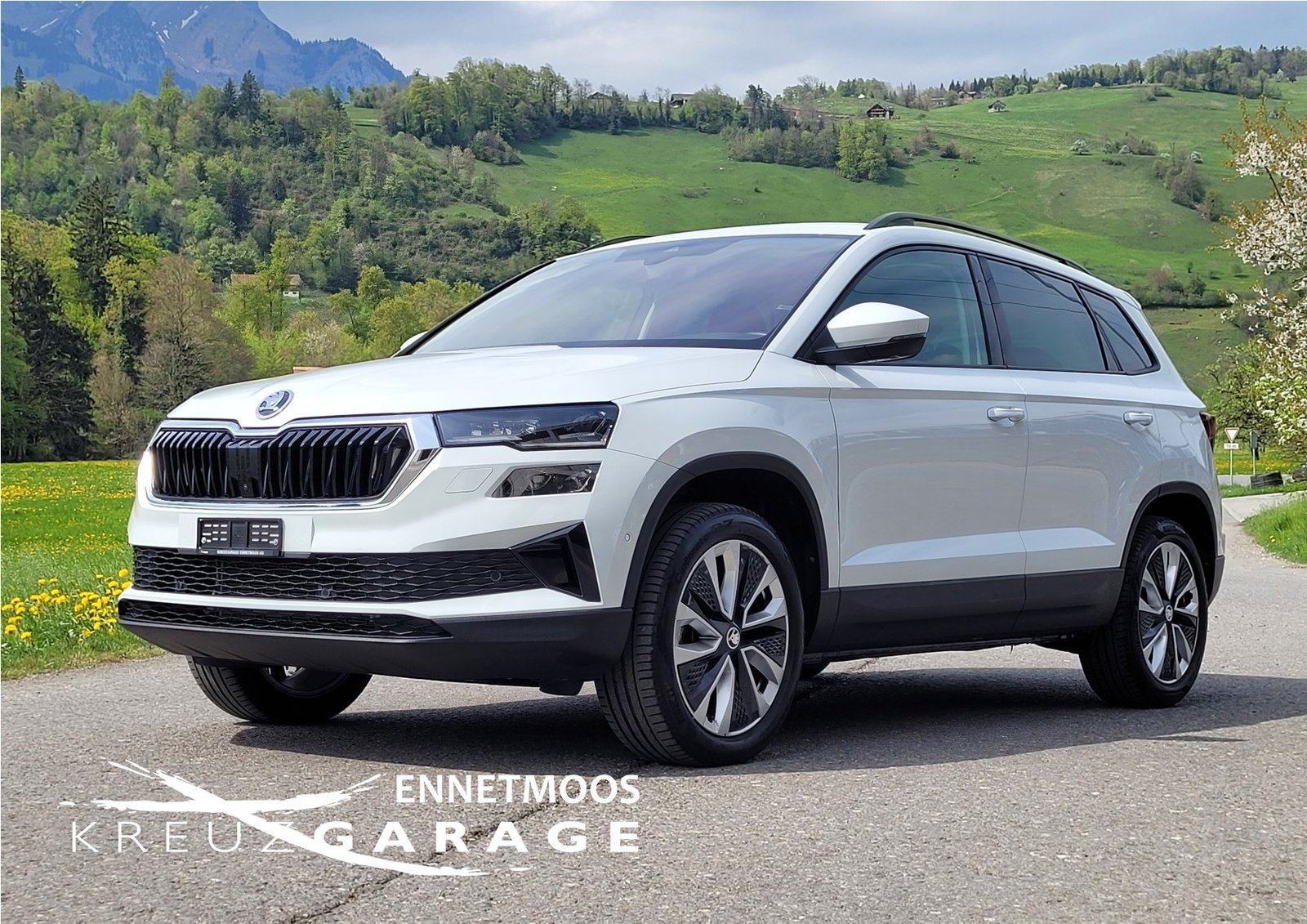 SKODA Karoq 2.0 TDI CR Style 4x4 DSG *Anhängerkupplung+8-fa