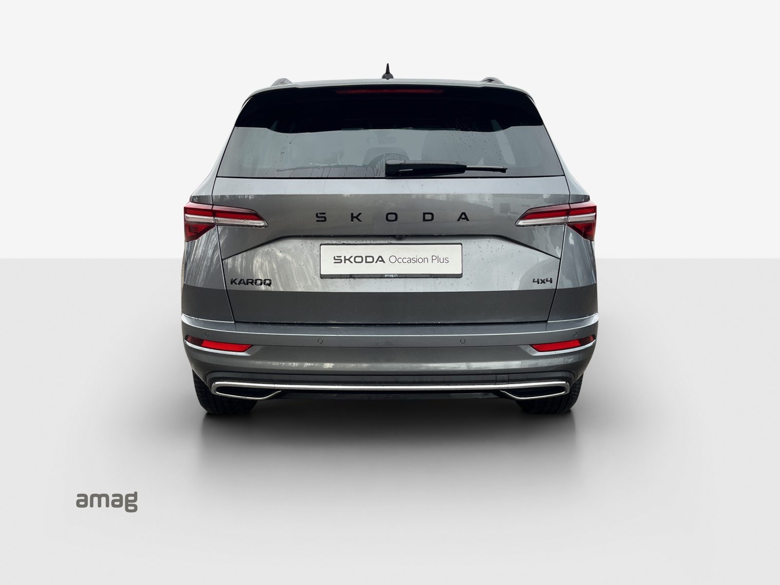 SKODA Karoq Sportline, Benzina, Occasioni / Usate, Automatico - 4