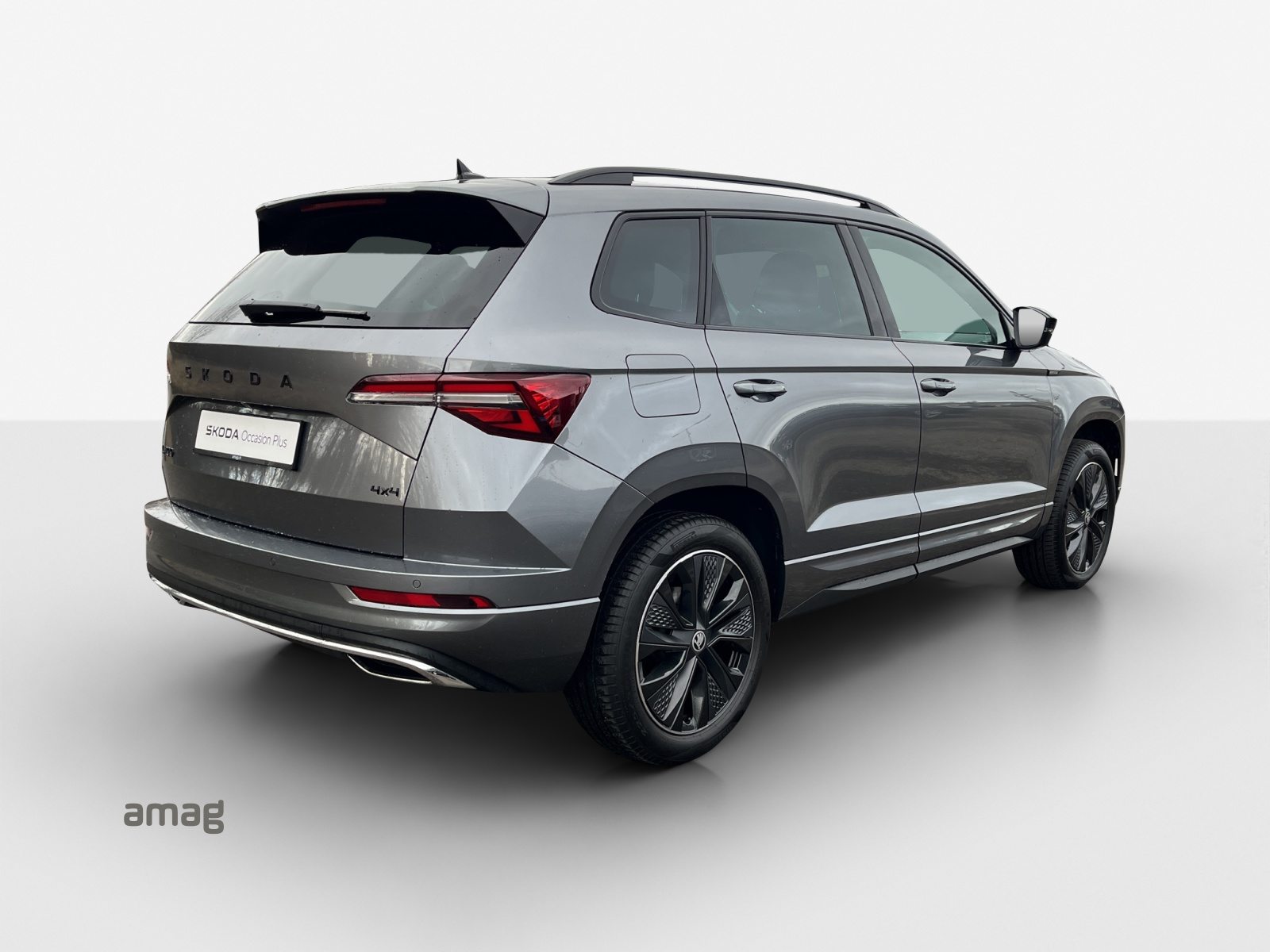 SKODA Karoq Sportline, Benzina, Occasioni / Usate, Automatico - 5