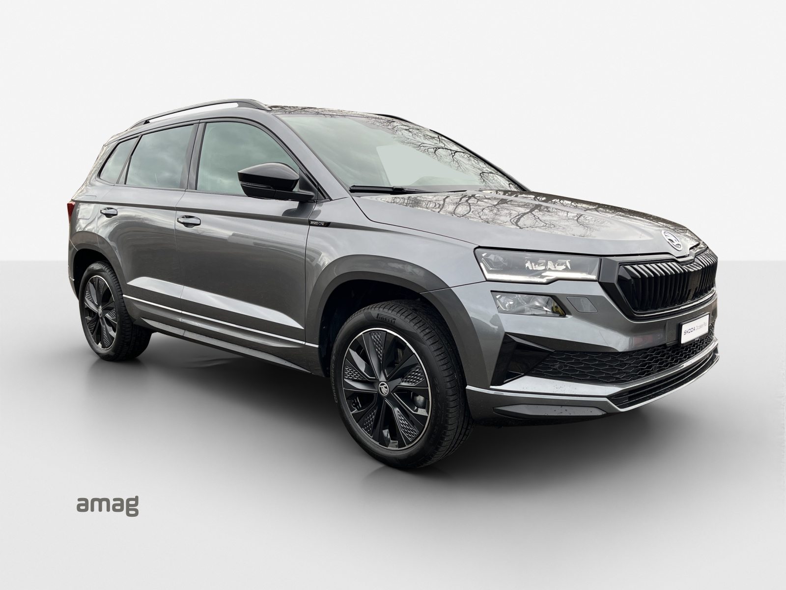 SKODA Karoq Sportline, Benzina, Occasioni / Usate, Automatico - 6
