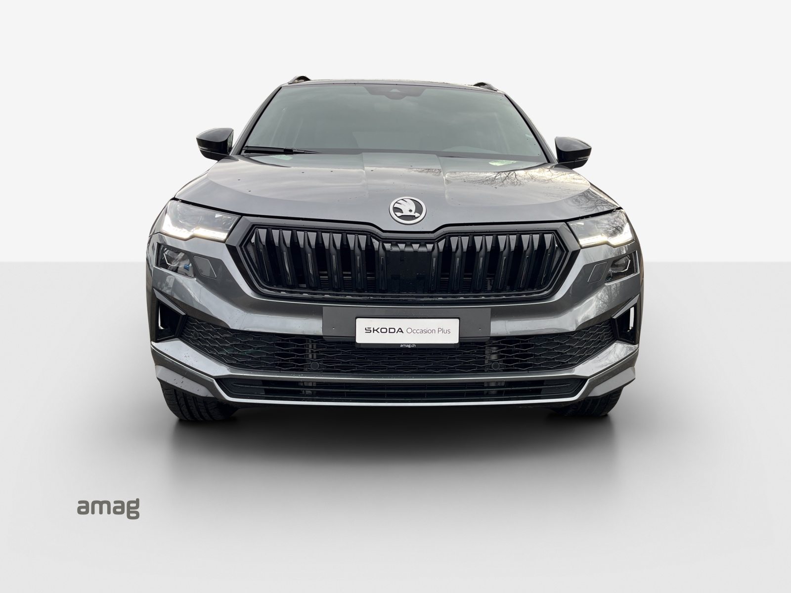 SKODA Karoq Sportline, Benzina, Occasioni / Usate, Automatico - 7