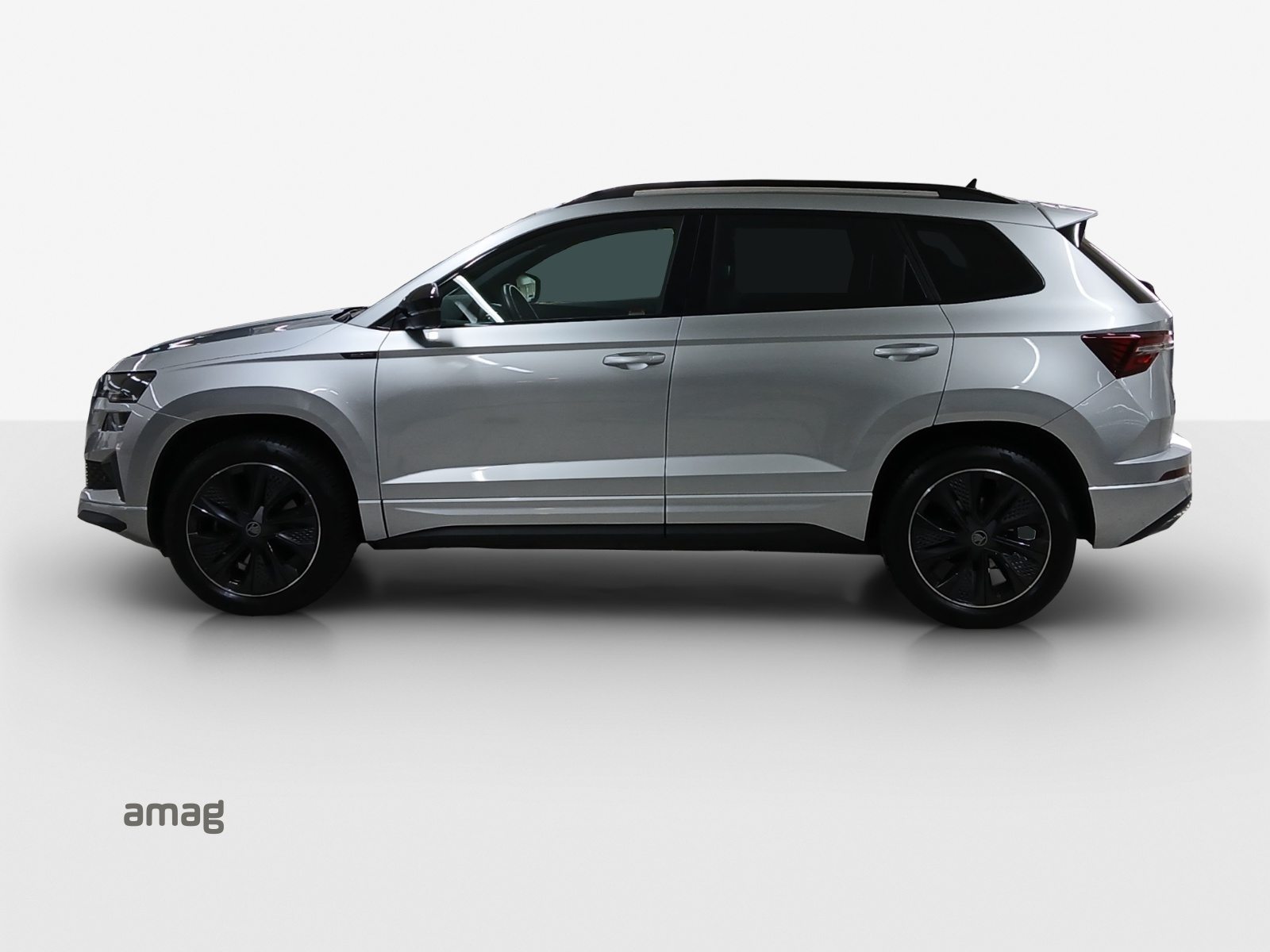 SKODA Karoq Sportline, Benzina, Occasioni / Usate, Automatico - 2