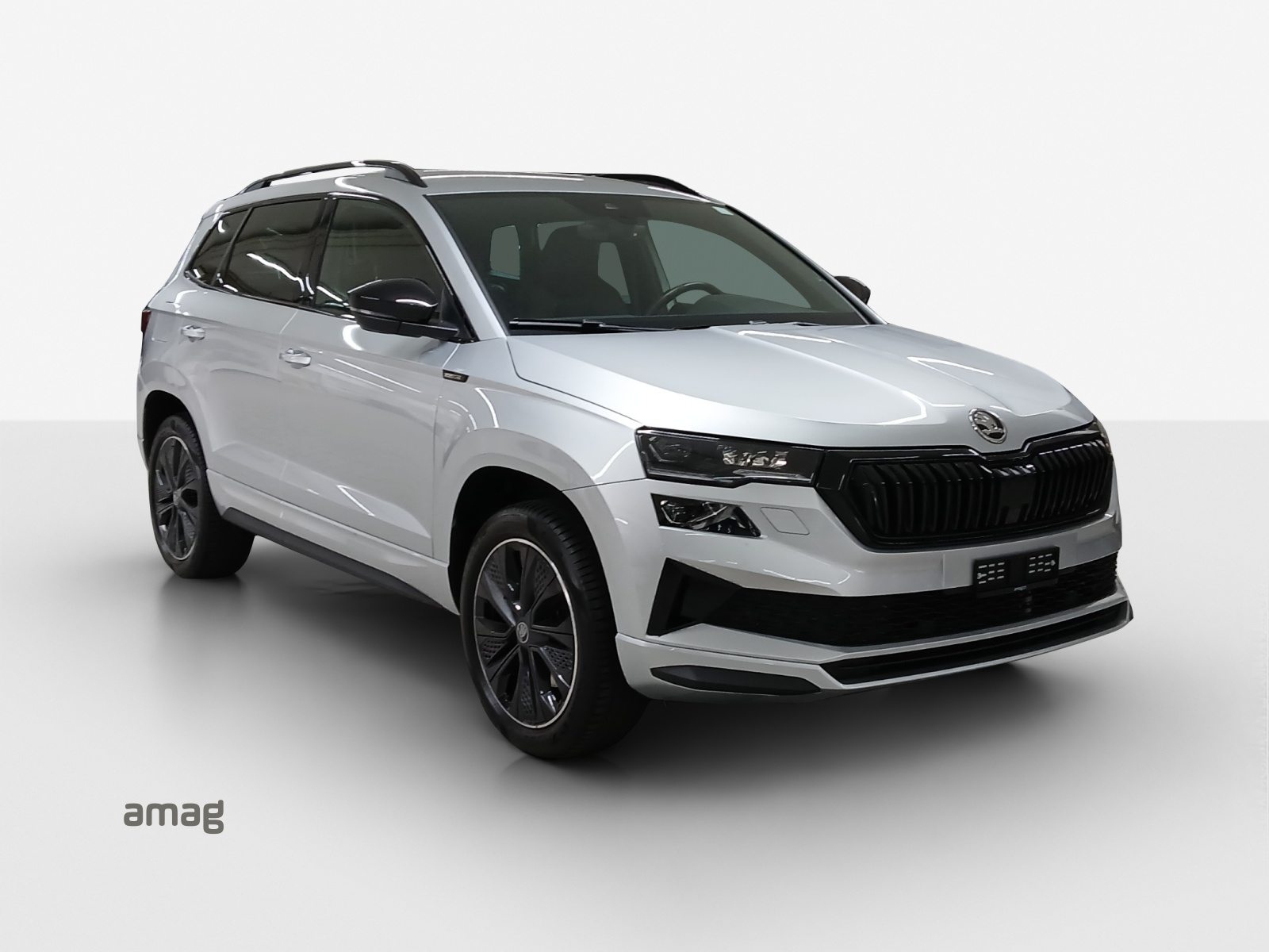 SKODA Karoq Sportline, Benzina, Occasioni / Usate, Automatico - 6