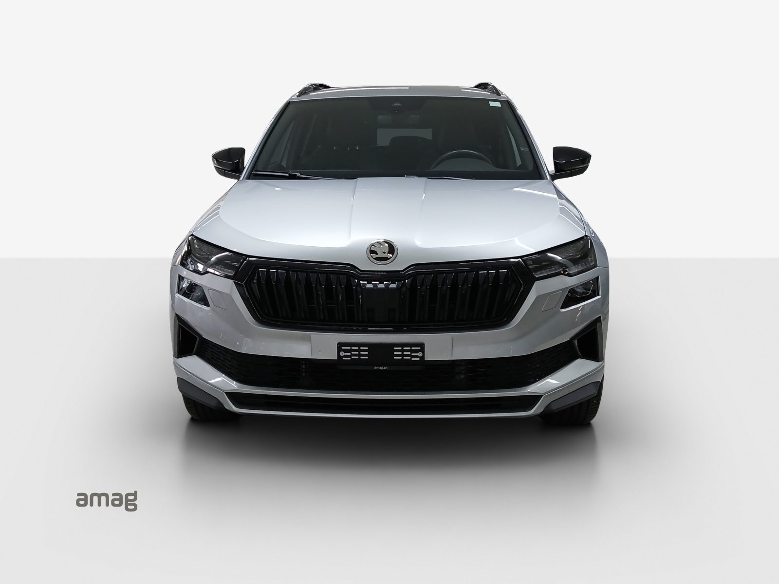 SKODA Karoq Sportline, Benzina, Occasioni / Usate, Automatico - 7