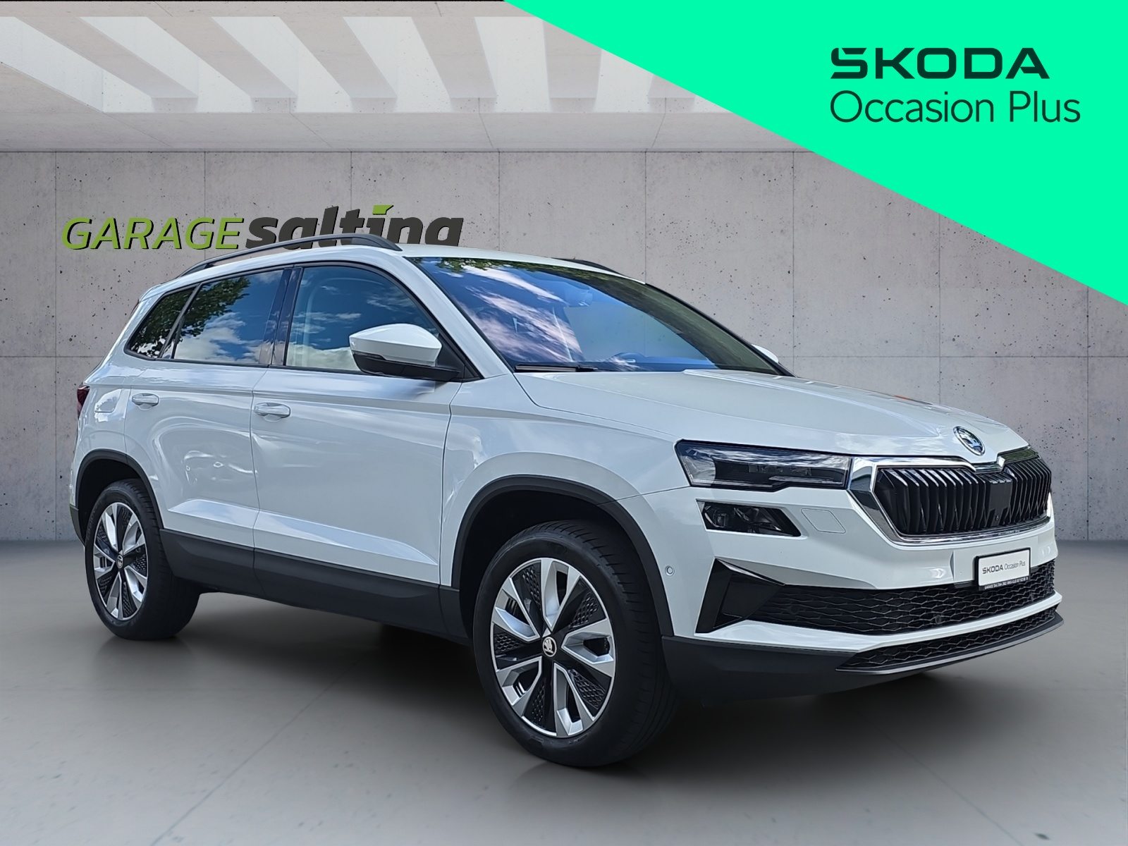 SKODA Karoq Style, Diesel, Occasion / Gebraucht, Automatik - 4
