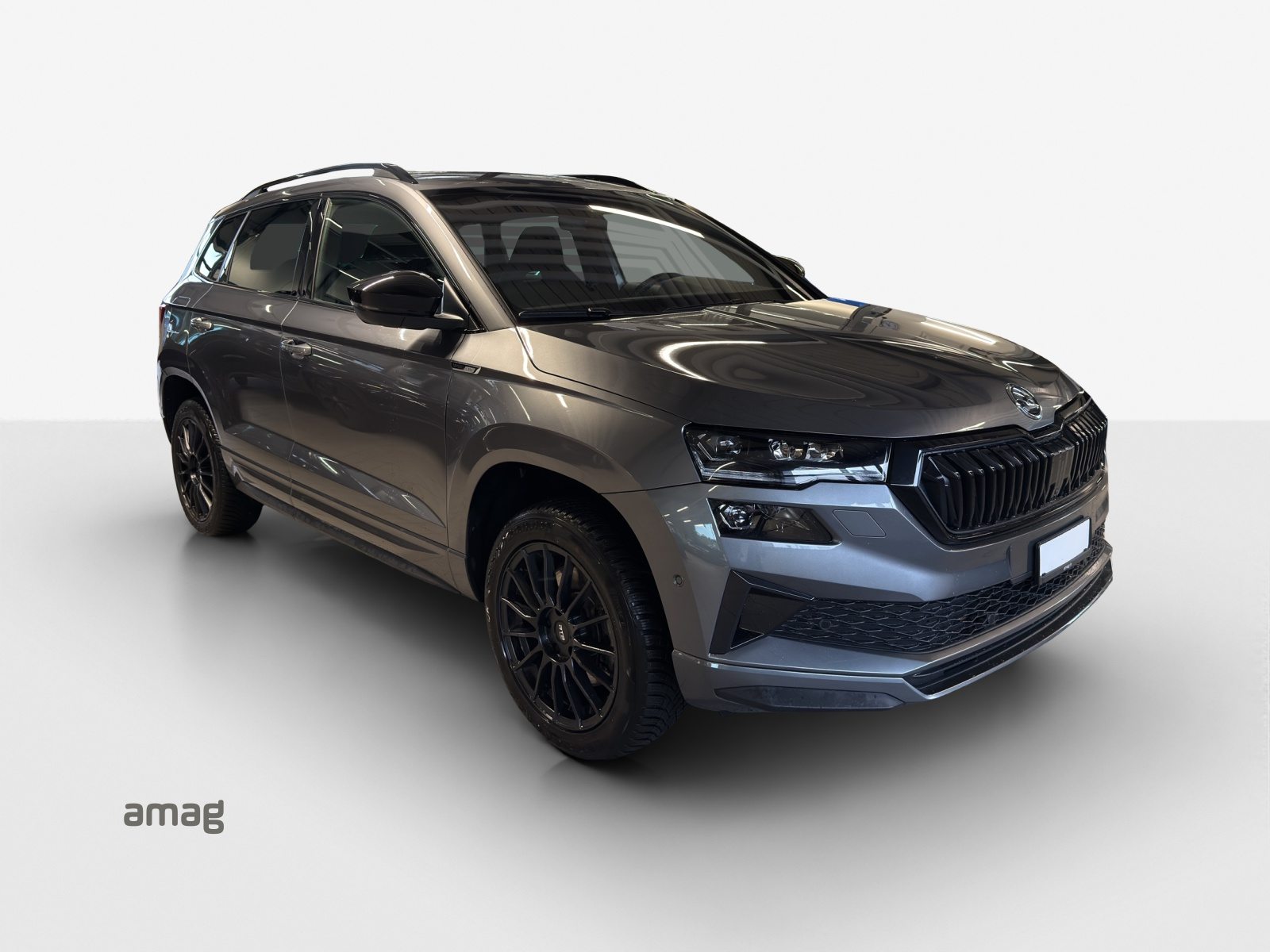 SKODA Karoq Sportline, Essence, Occasion / Utilisé, Automatique - 6