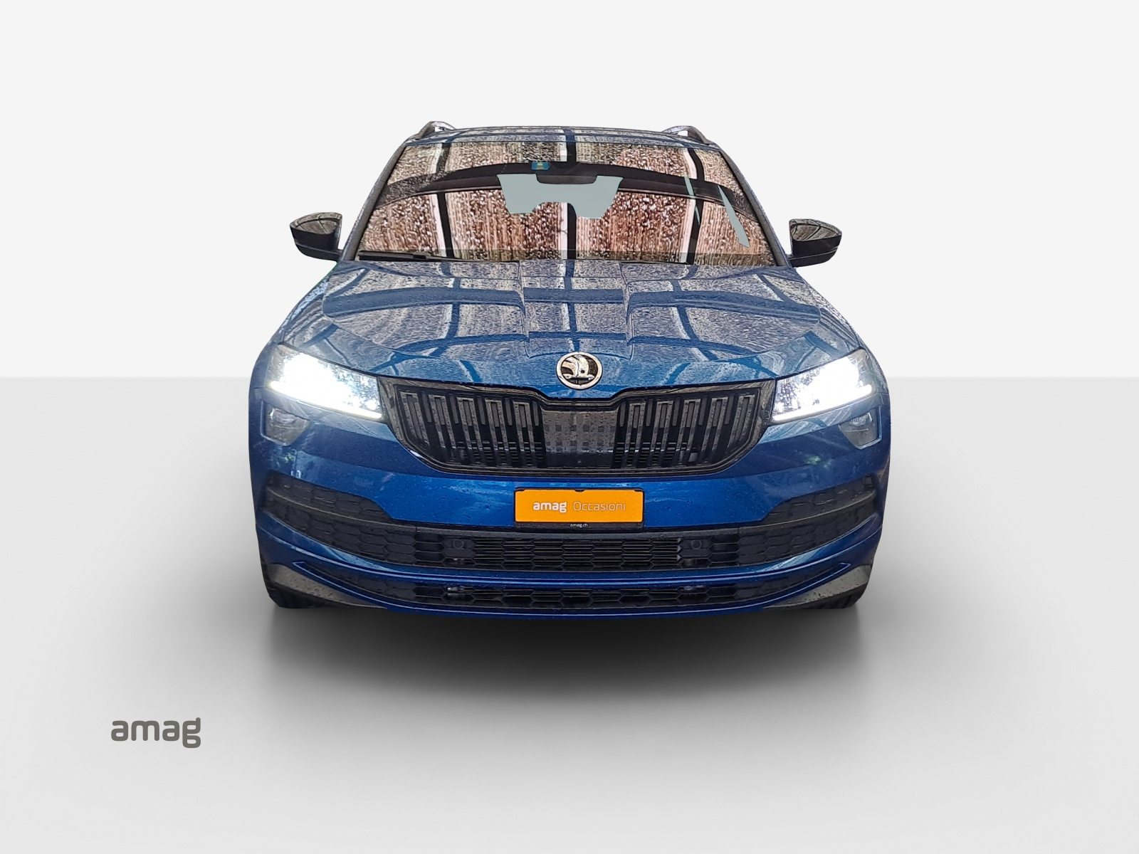 SKODA KAROQ SportLine, Benzina, Occasioni / Usate, Automatico - 7