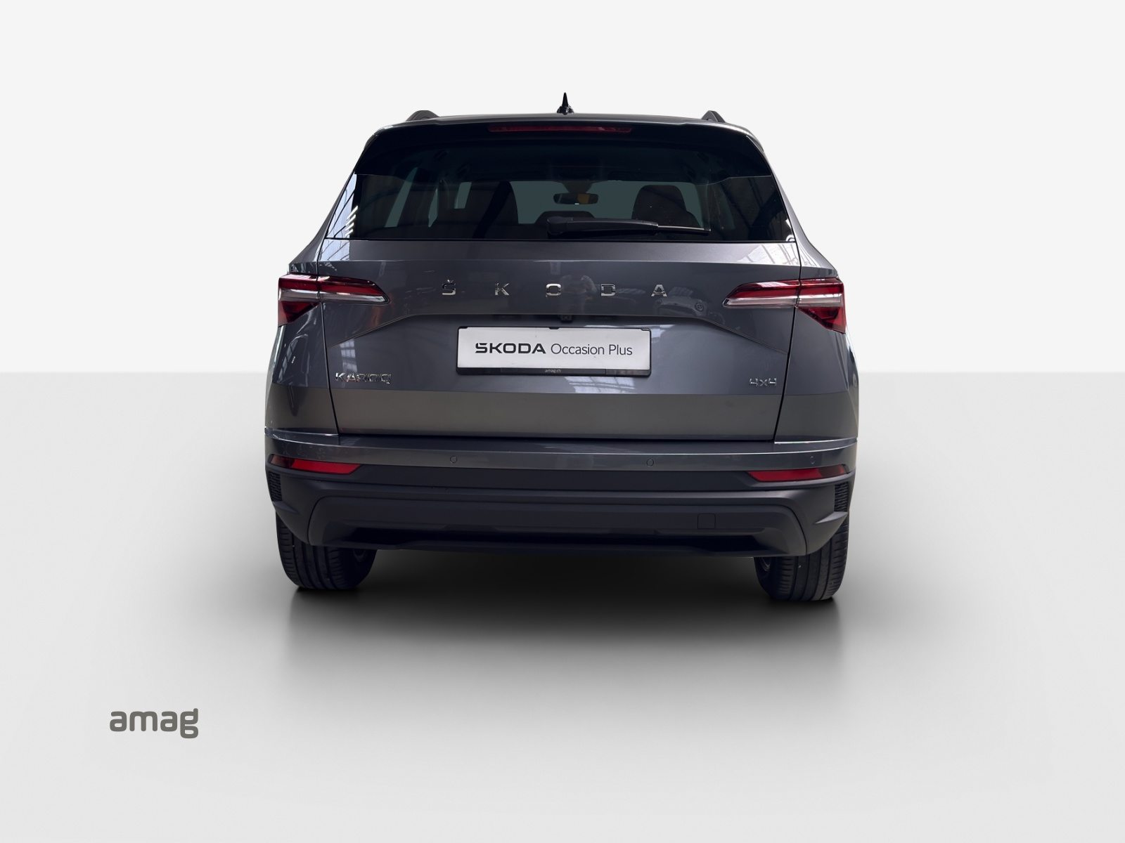 SKODA NEW KAROQ Style, Diesel, Occasion / Gebraucht, Automatik - 4