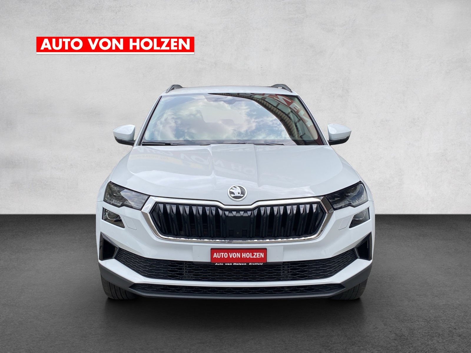 SKODA Karoq 2.0 TDI CR Style 4x4 DSG, Diesel, Occasioni / Usate, Automatico - 6