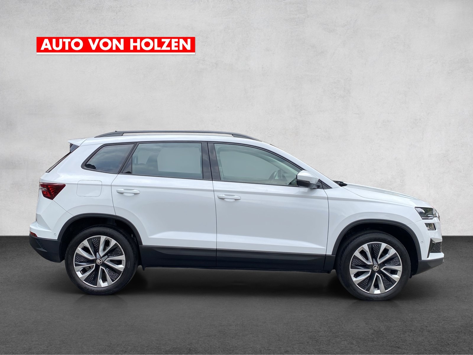 SKODA Karoq 2.0 TDI CR Style 4x4 DSG, Diesel, Occasioni / Usate, Automatico - 7