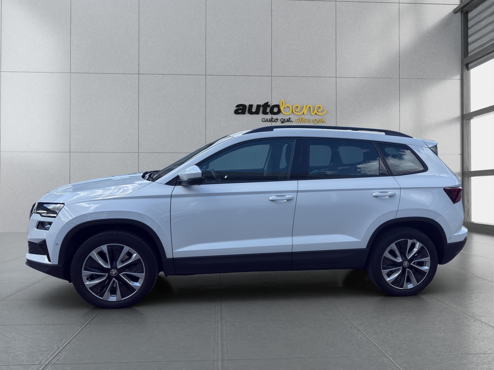 SKODA Karoq 2.0 TDI CR Style 4x4 DSG, Diesel, Occasion / Utilisé, Automatique - 5
