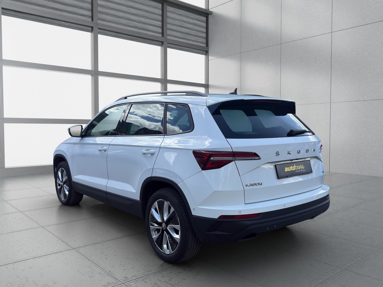 SKODA Karoq 2.0 TDI CR Style 4x4 DSG, Diesel, Occasion / Utilisé, Automatique - 6