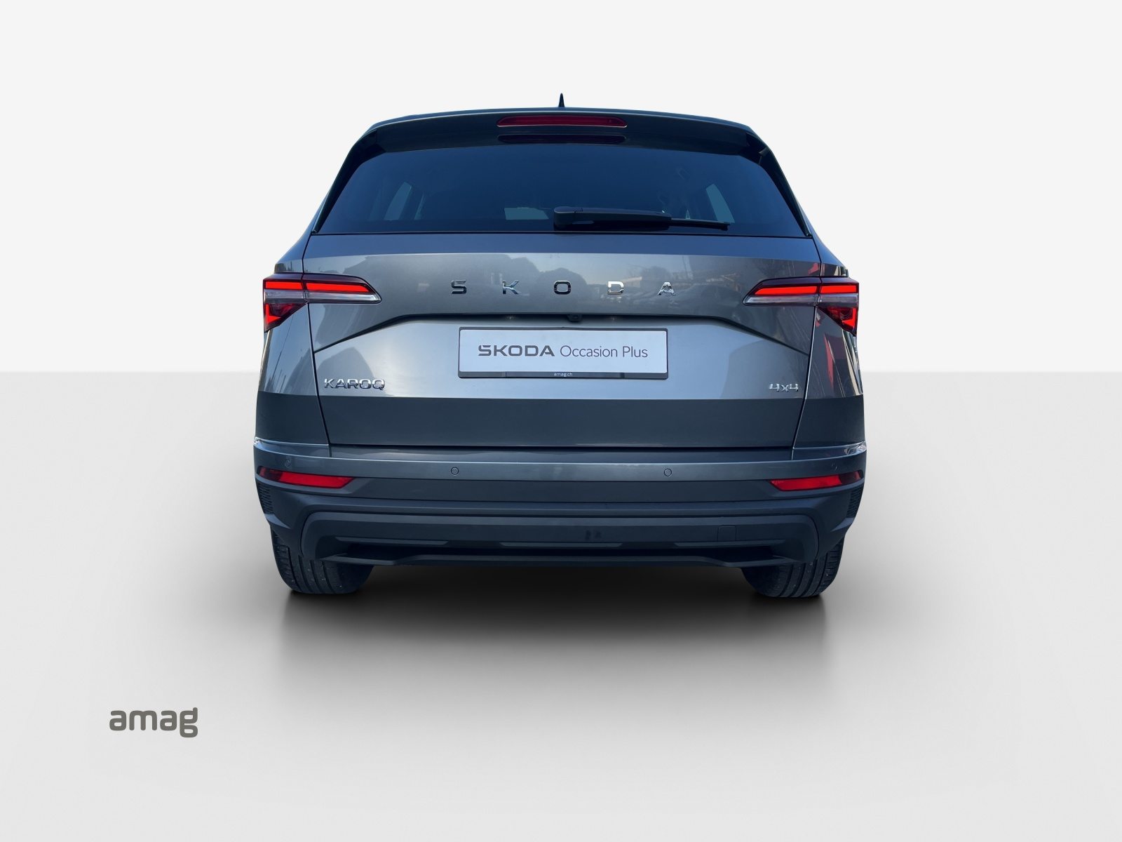SKODA Karoq Selection, Diesel, Occasioni / Usate, Automatico - 4