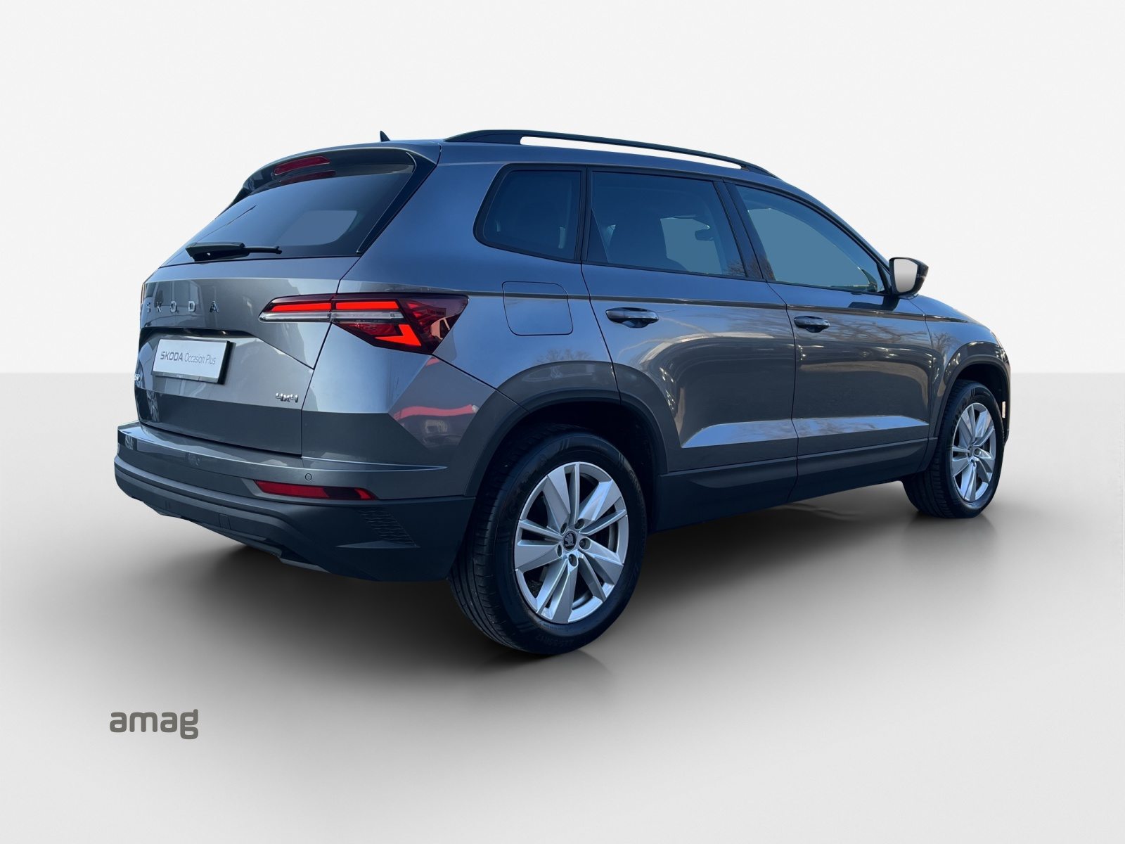 SKODA Karoq Selection, Diesel, Occasioni / Usate, Automatico - 5