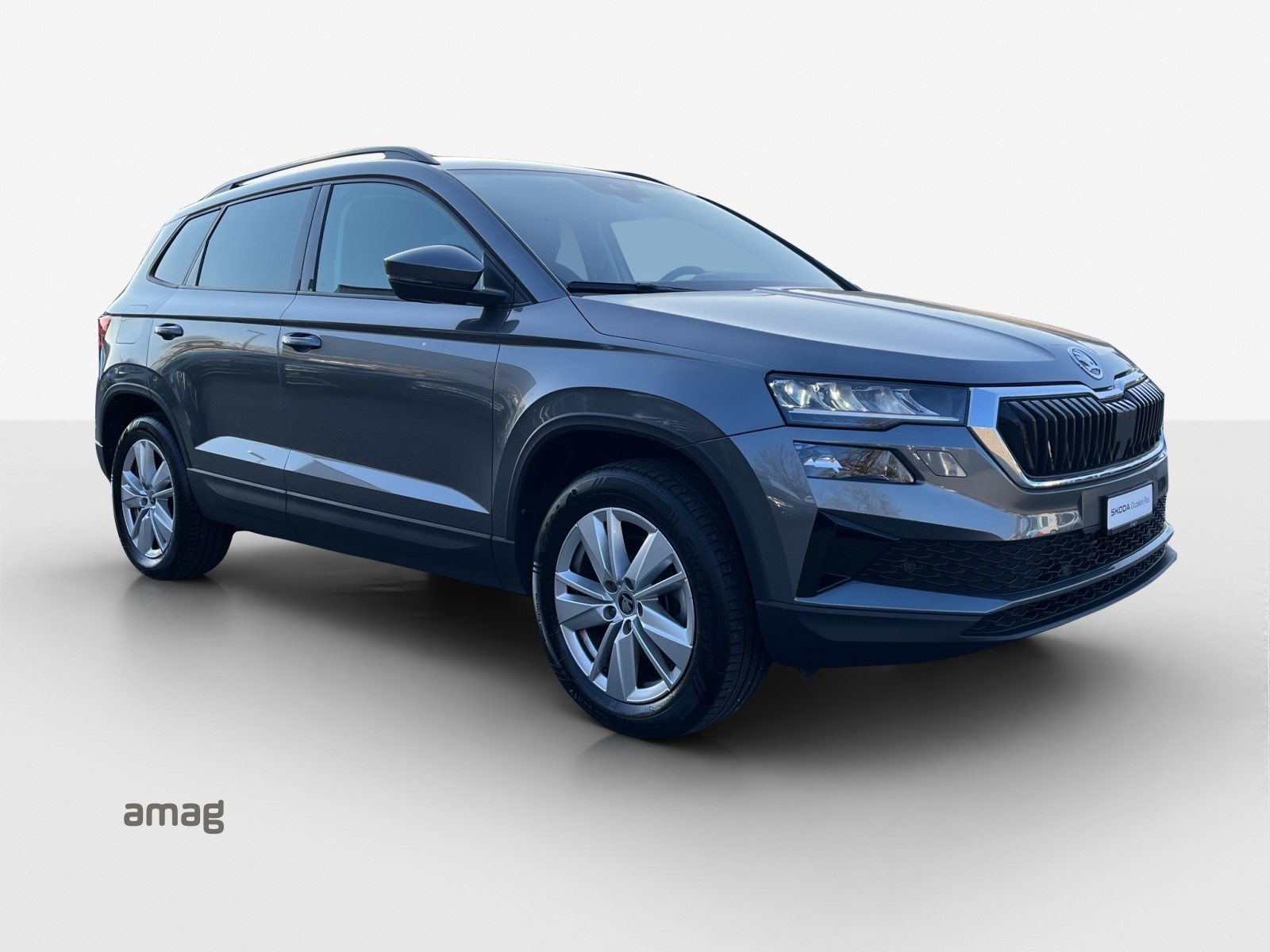 SKODA Karoq Selection, Diesel, Occasioni / Usate, Automatico - 6