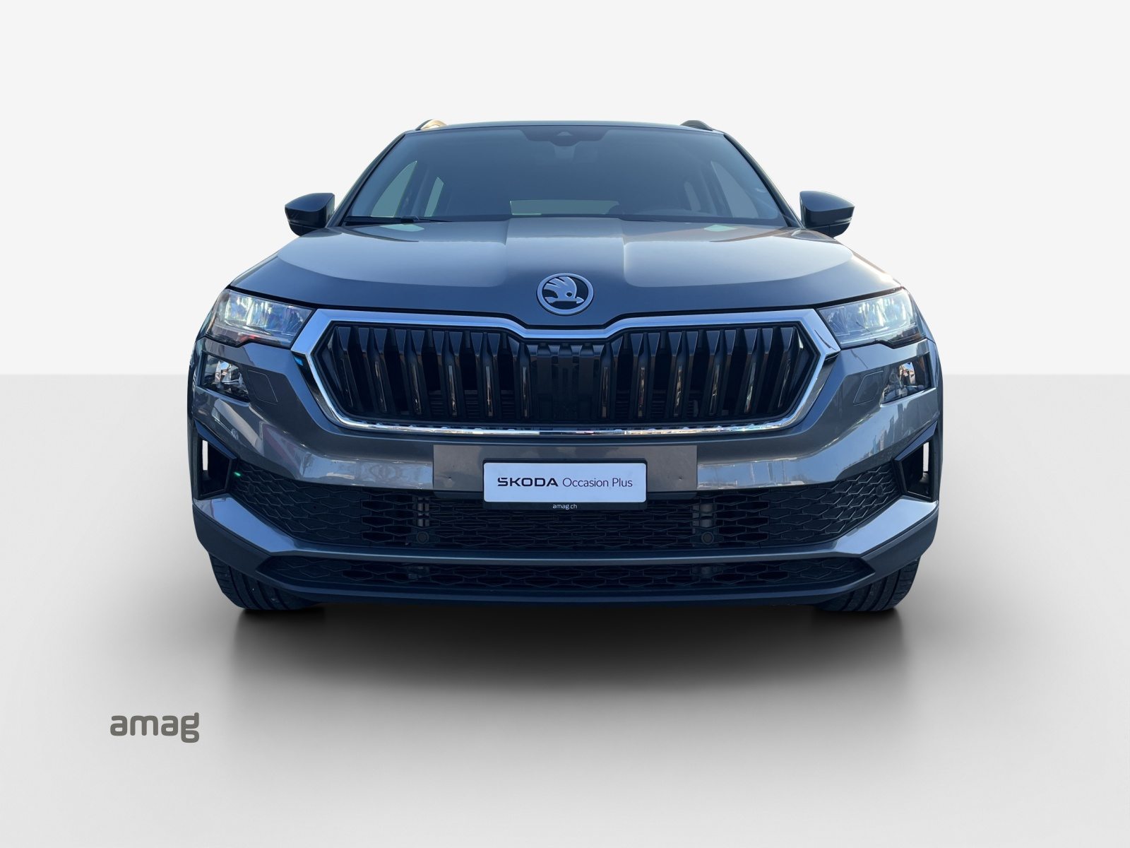 SKODA Karoq Selection, Diesel, Occasioni / Usate, Automatico - 7