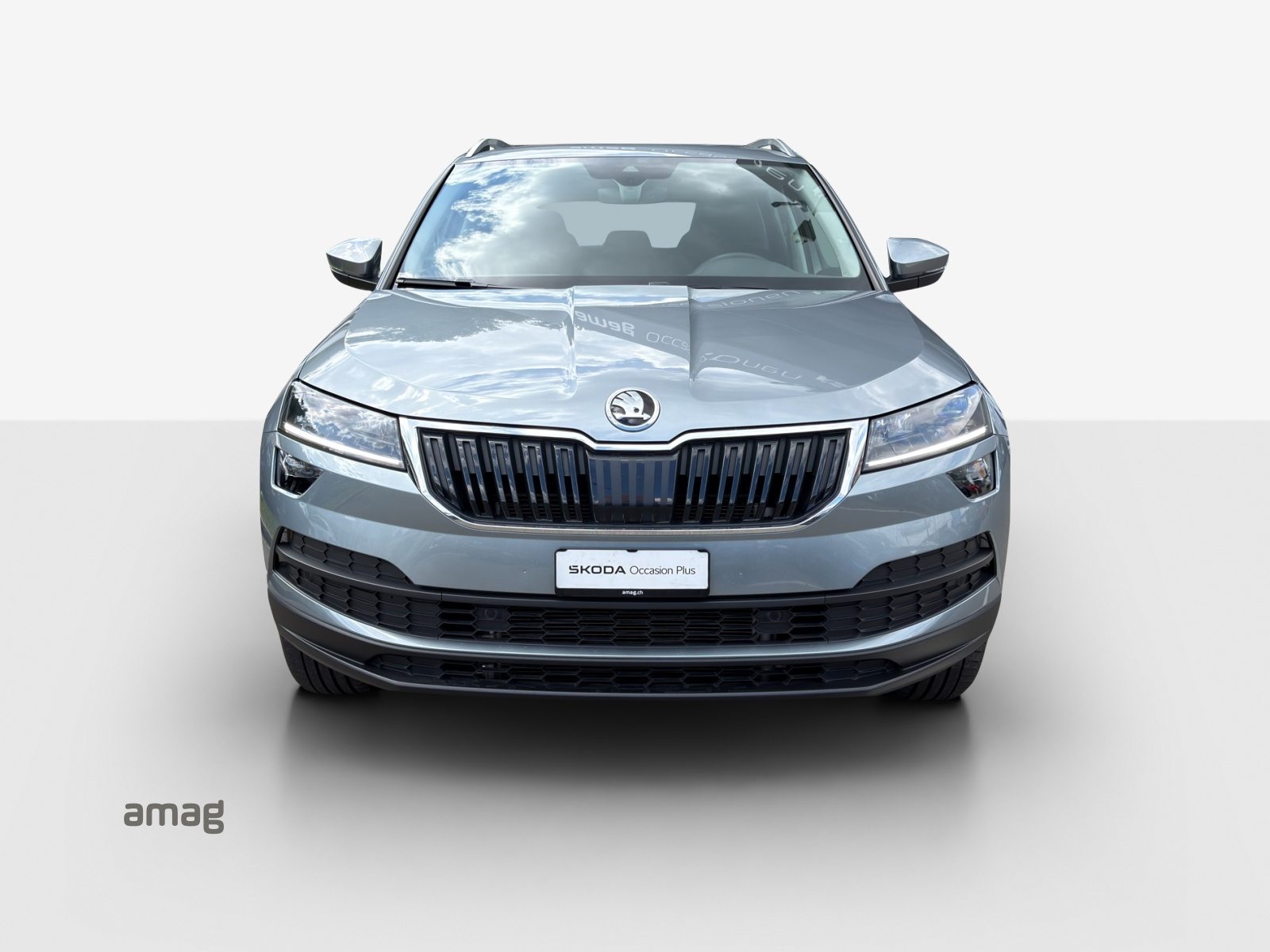 SKODA KAROQ «Clever» (Netto), Diesel, Second hand / Used, Automatic - 7