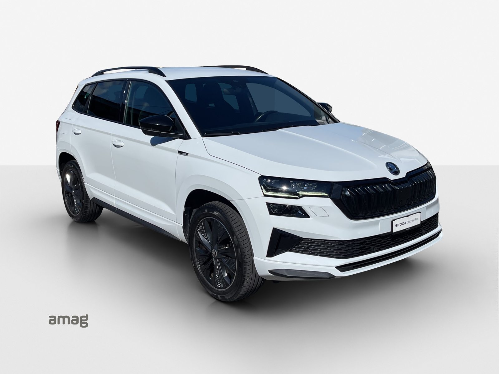 SKODA NEW KAROQ SportLine, Diesel, Occasioni / Usate, Automatico - 6