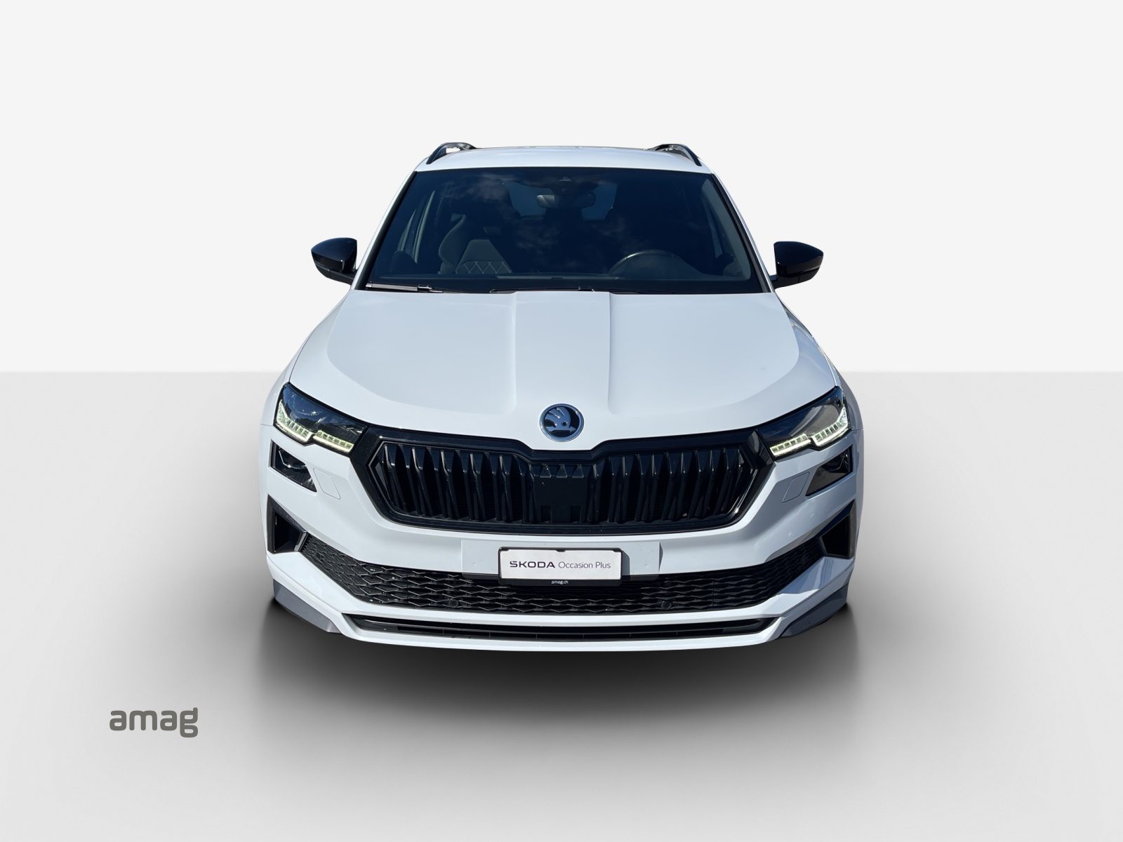 SKODA NEW KAROQ SportLine, Diesel, Occasioni / Usate, Automatico - 7