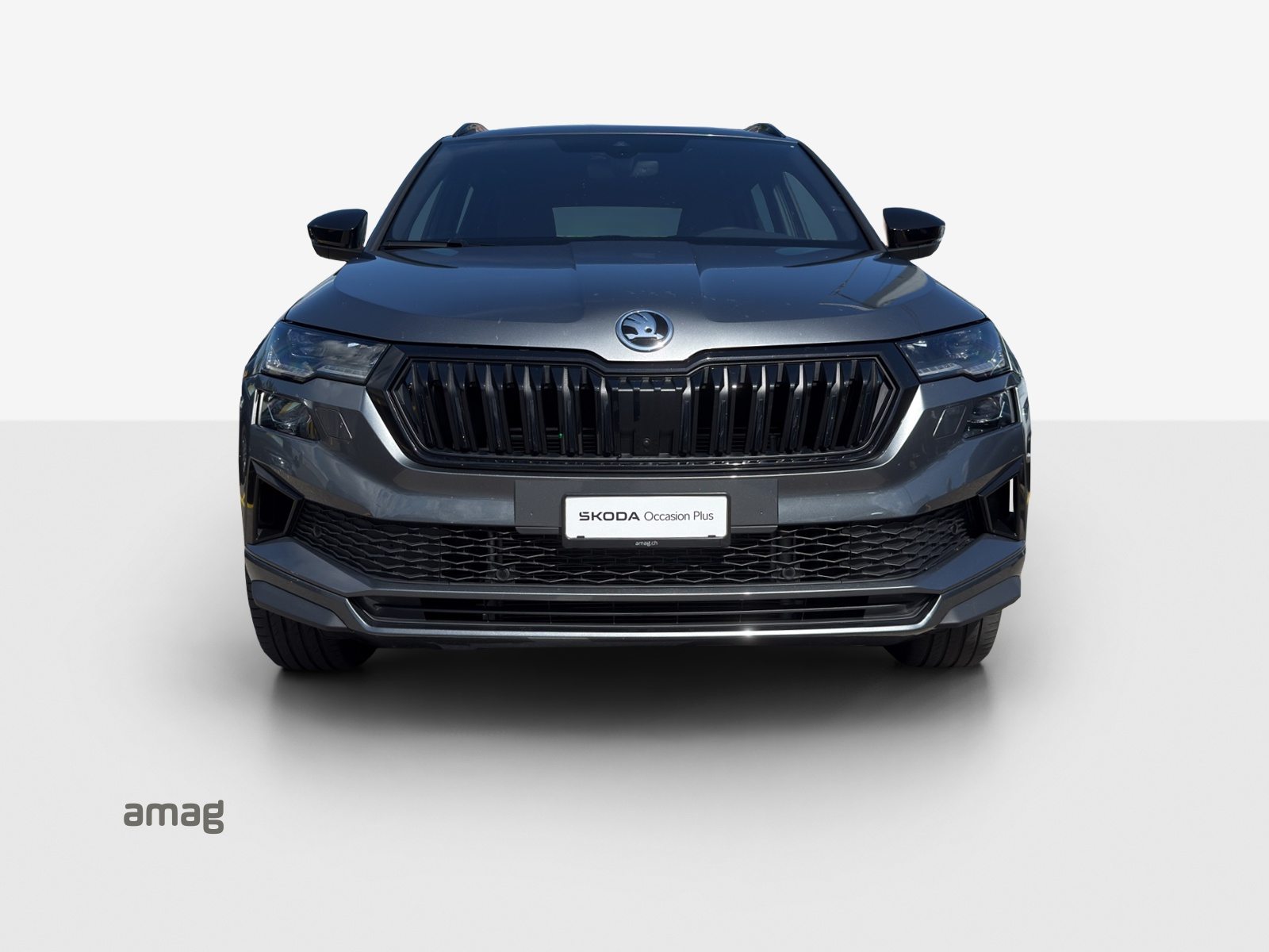 SKODA NEW KAROQ SportLine, Benzina, Occasioni / Usate, Automatico - 7