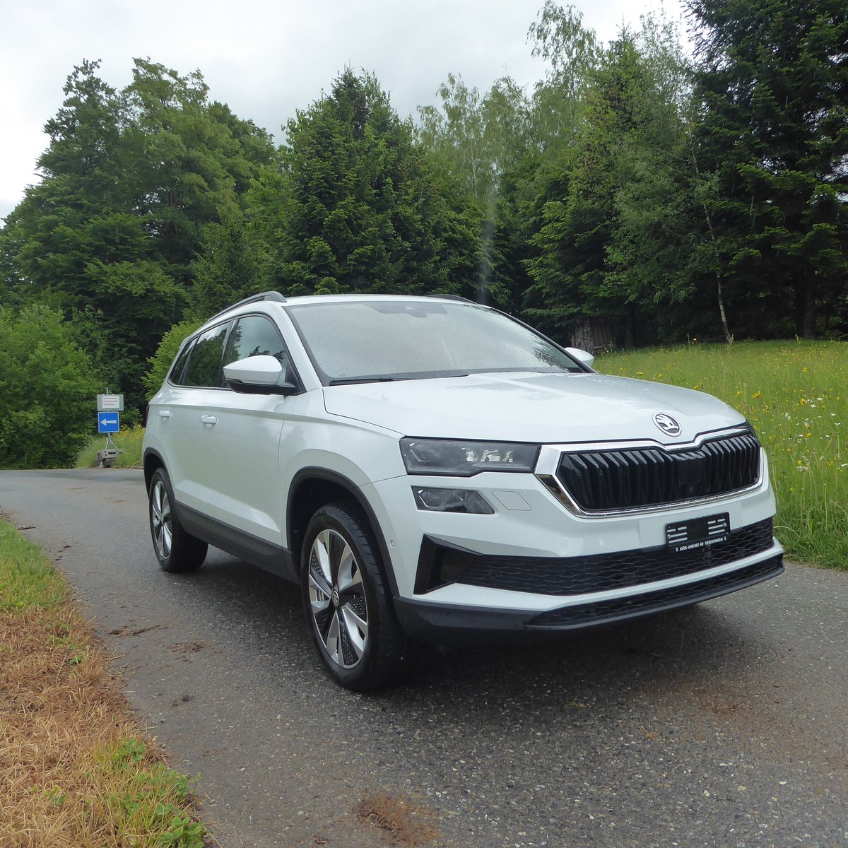 SKODA Karoq 2.0 TDI CR Style 4x4 DSG, Diesel, Occasioni / Usate, Automatico - 2