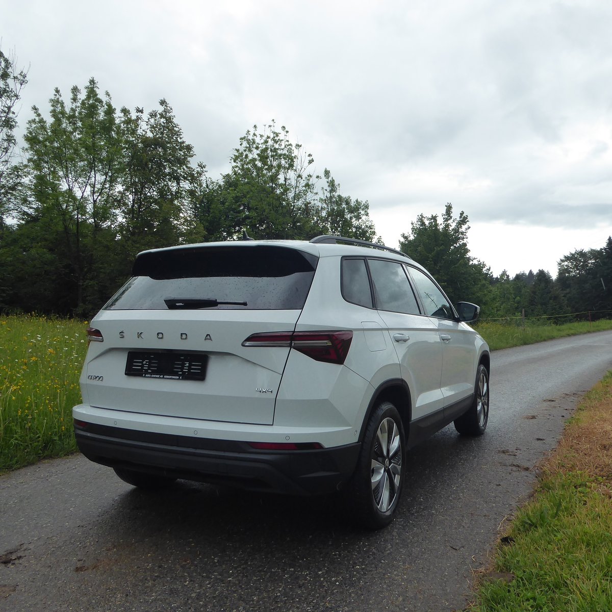 SKODA Karoq 2.0 TDI CR Style 4x4 DSG, Diesel, Occasioni / Usate, Automatico - 4