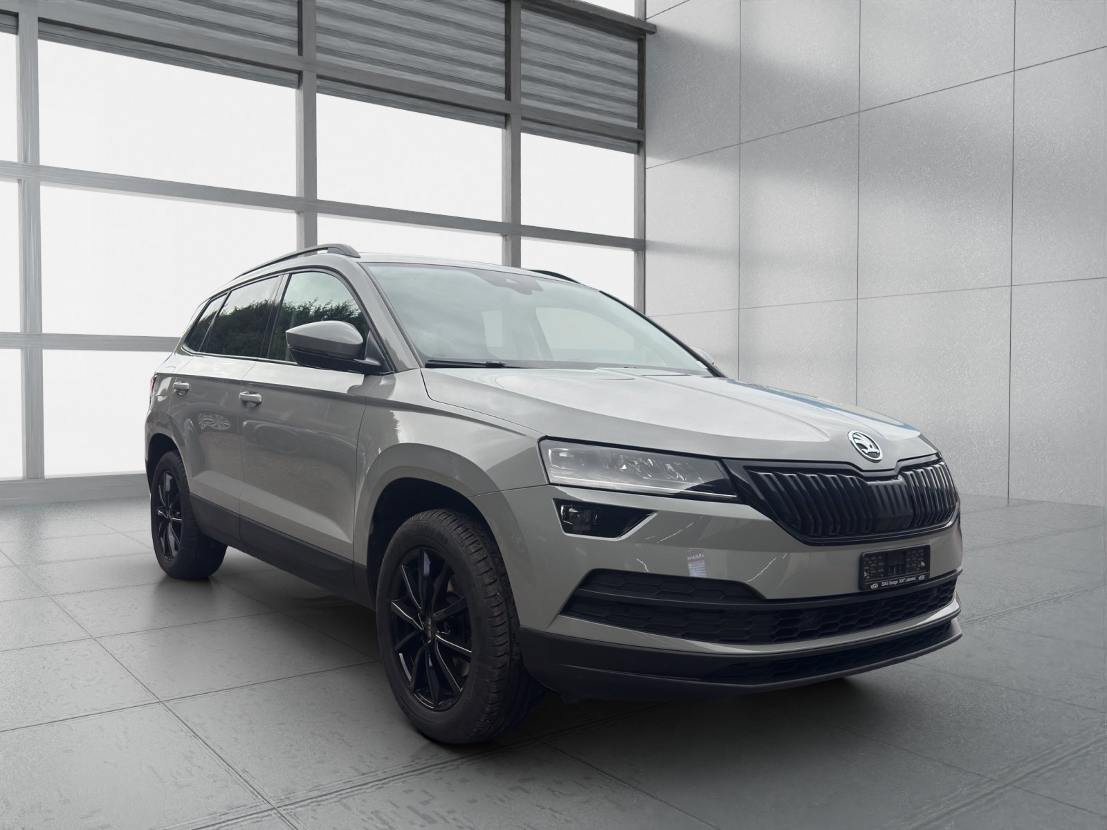 SKODA Karoq 2.0 TDI CR Ambition 4x4 DSG, Diesel, Occasioni / Usate, Automatico - 6