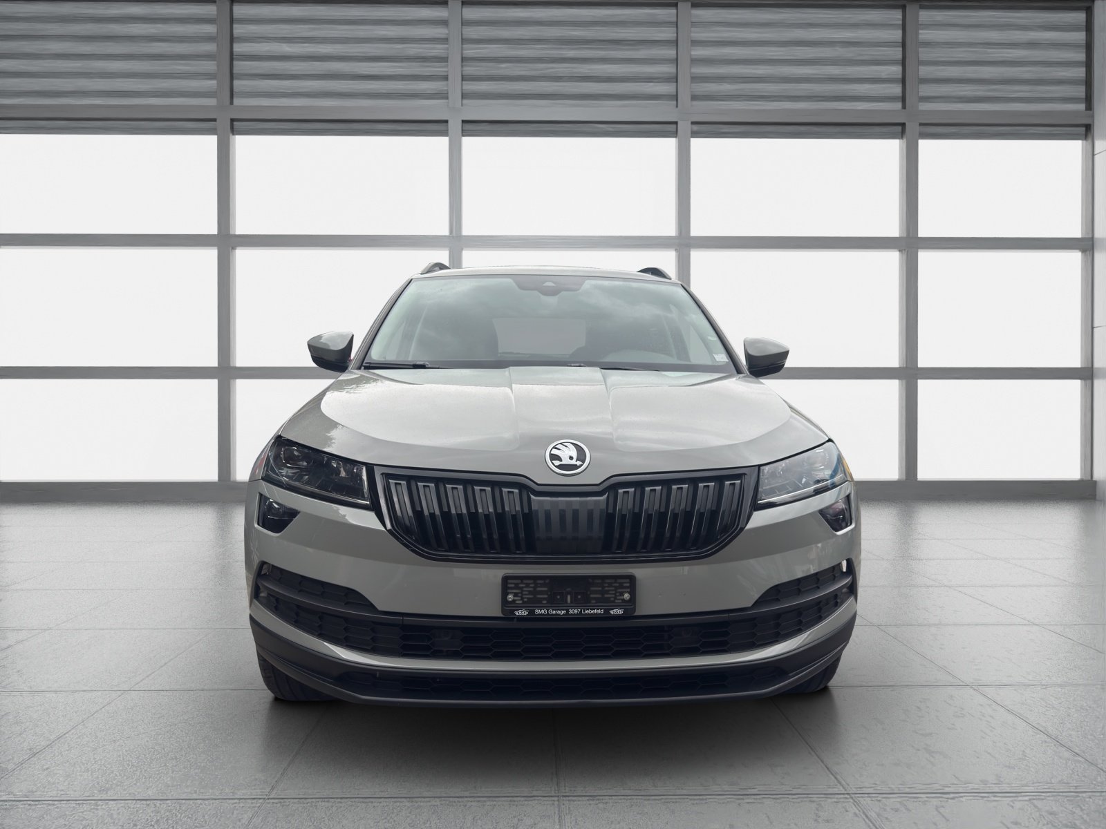 SKODA Karoq 2.0 TDI CR Ambition 4x4 DSG, Diesel, Occasioni / Usate, Automatico - 7