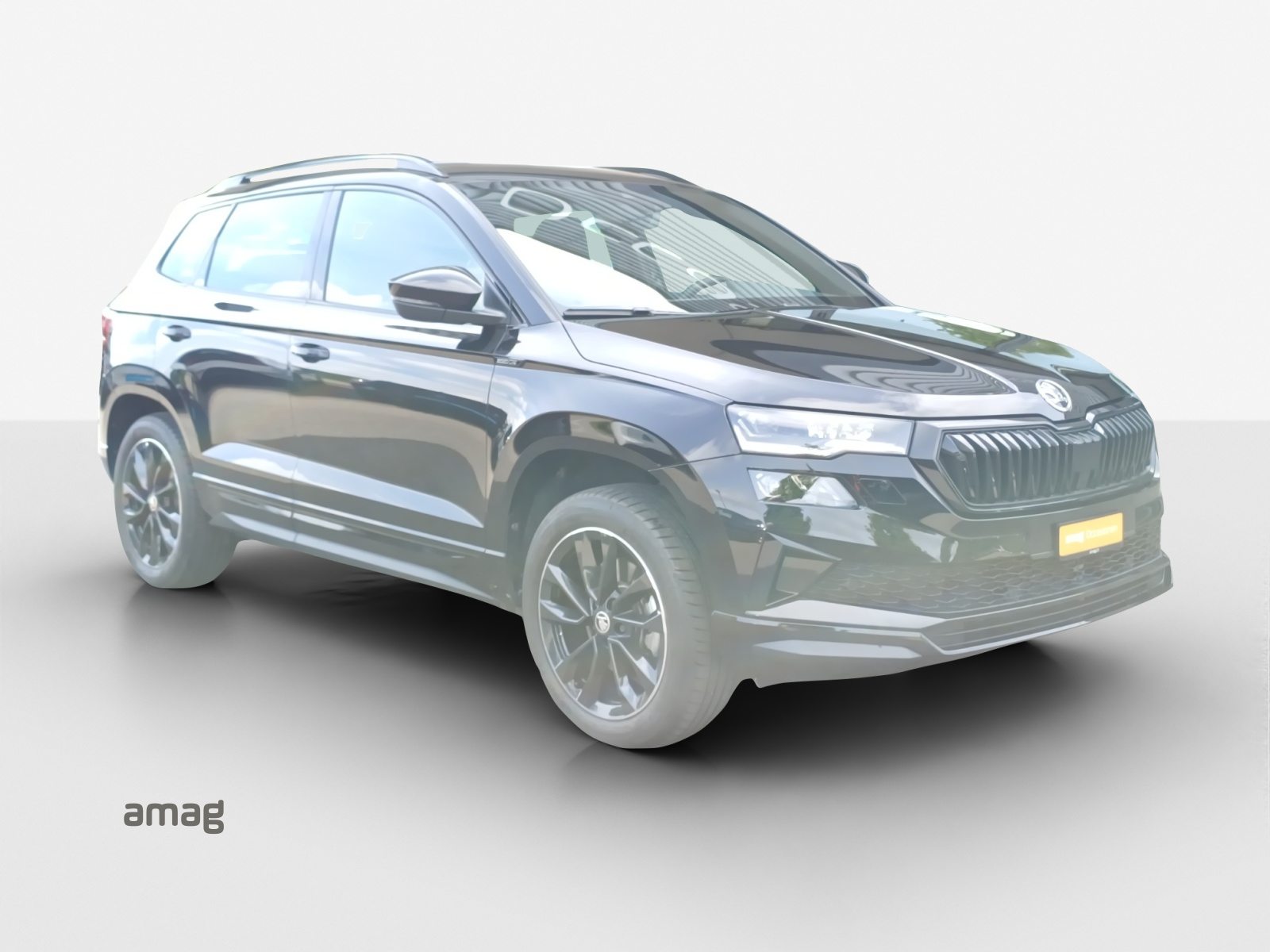 SKODA Karoq Sportline, Benzin, Occasion / Gebraucht, Automatik - 6