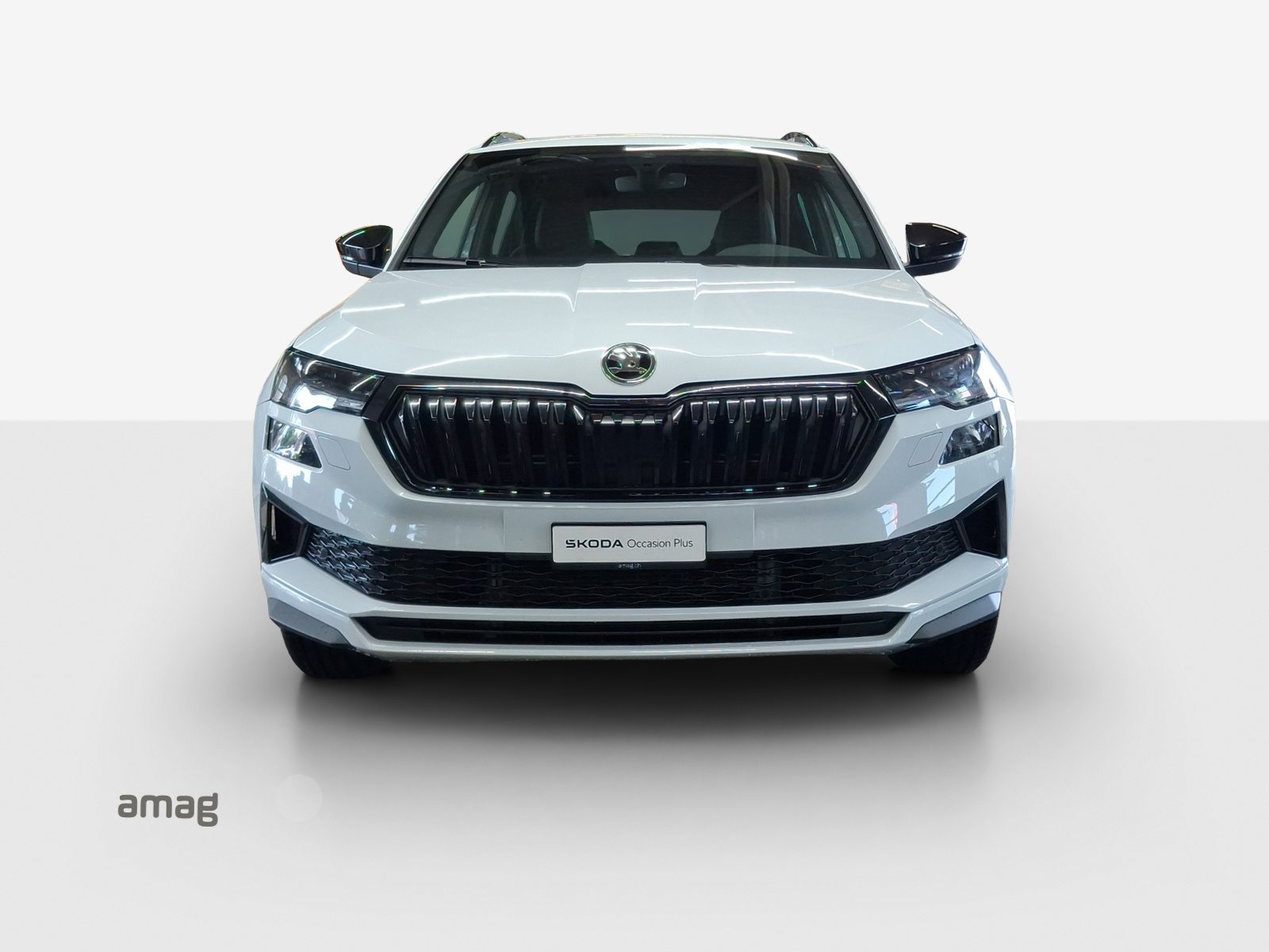 SKODA Karoq Sportline, Petrol, Second hand / Used, Automatic - 6