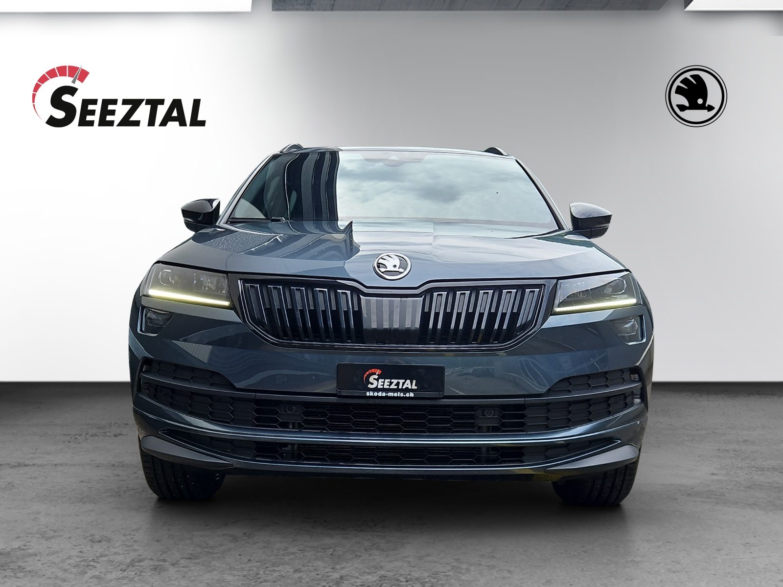 SKODA KAROQ SportLine, Benzina, Occasioni / Usate, Automatico - 3