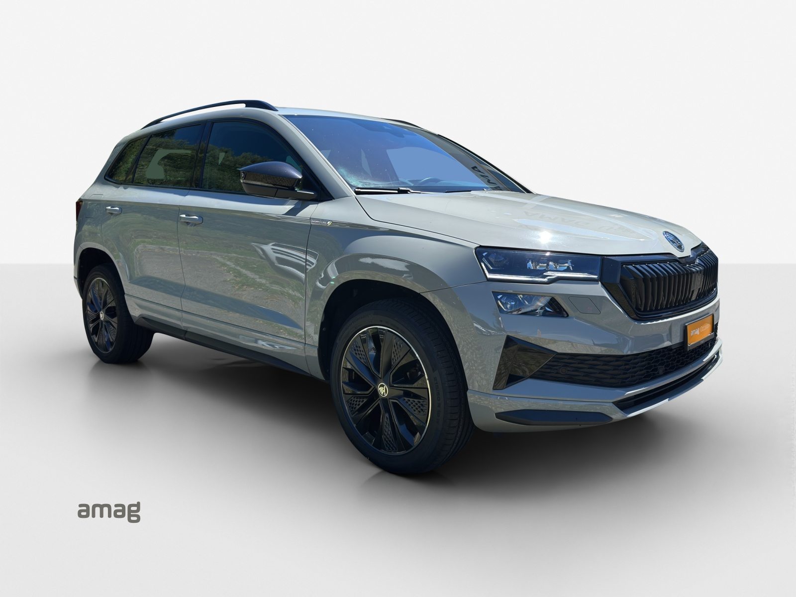 SKODA Karoq SportLine, Essence, Occasion / Utilisé, Automatique - 6