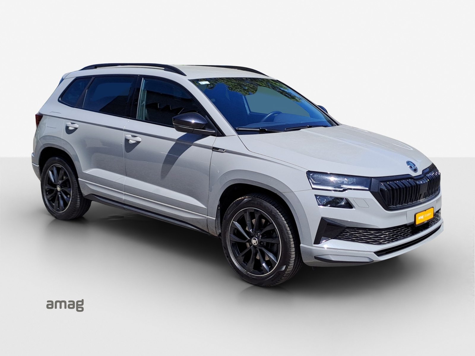 SKODA Karoq SportLine, Benzin, Occasion / Gebraucht, Automatik - 6